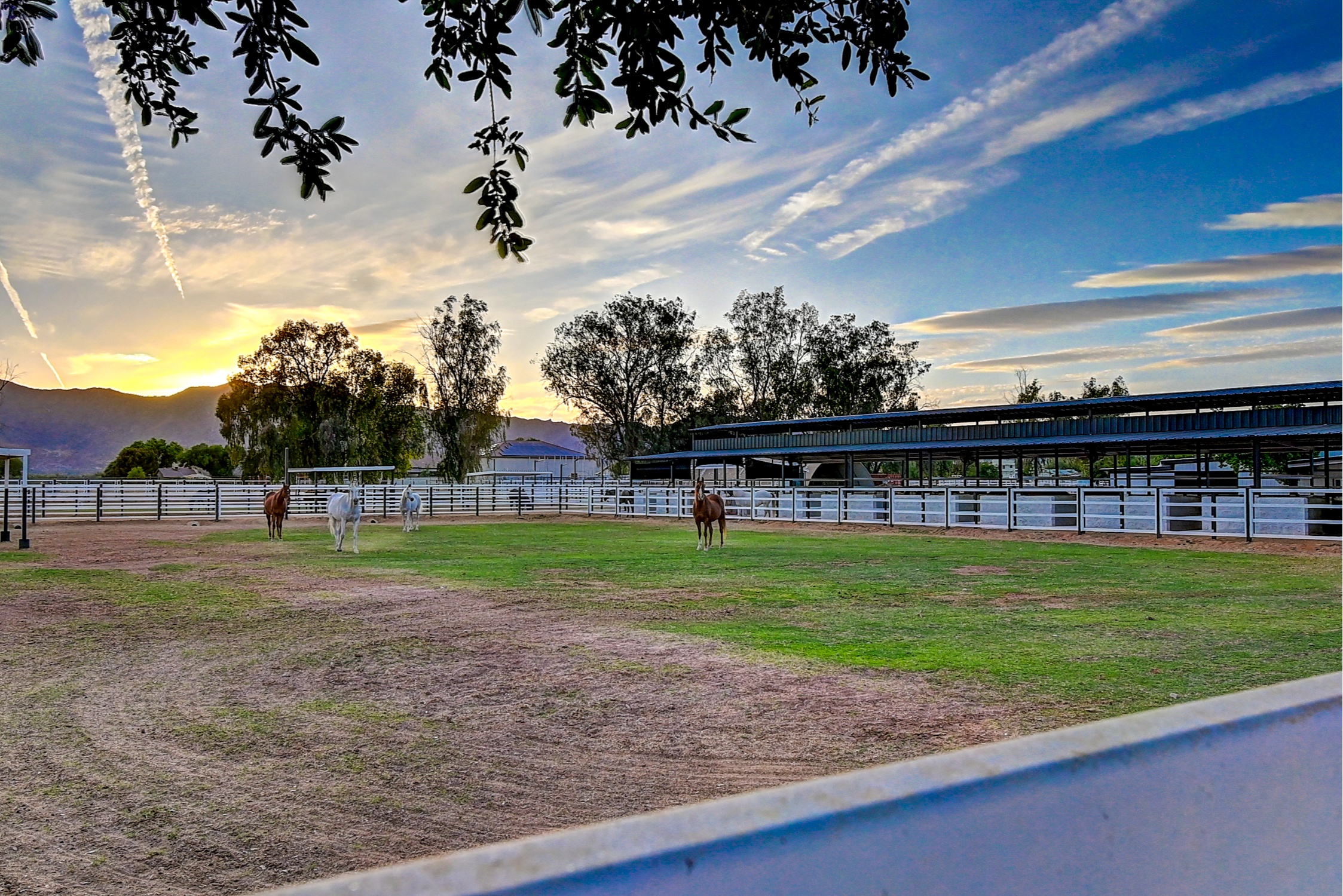 Stunning 6 Bdm Desert Ranch Equestrian Estate! | Living Quarters + Stables | For Rent or Sublet