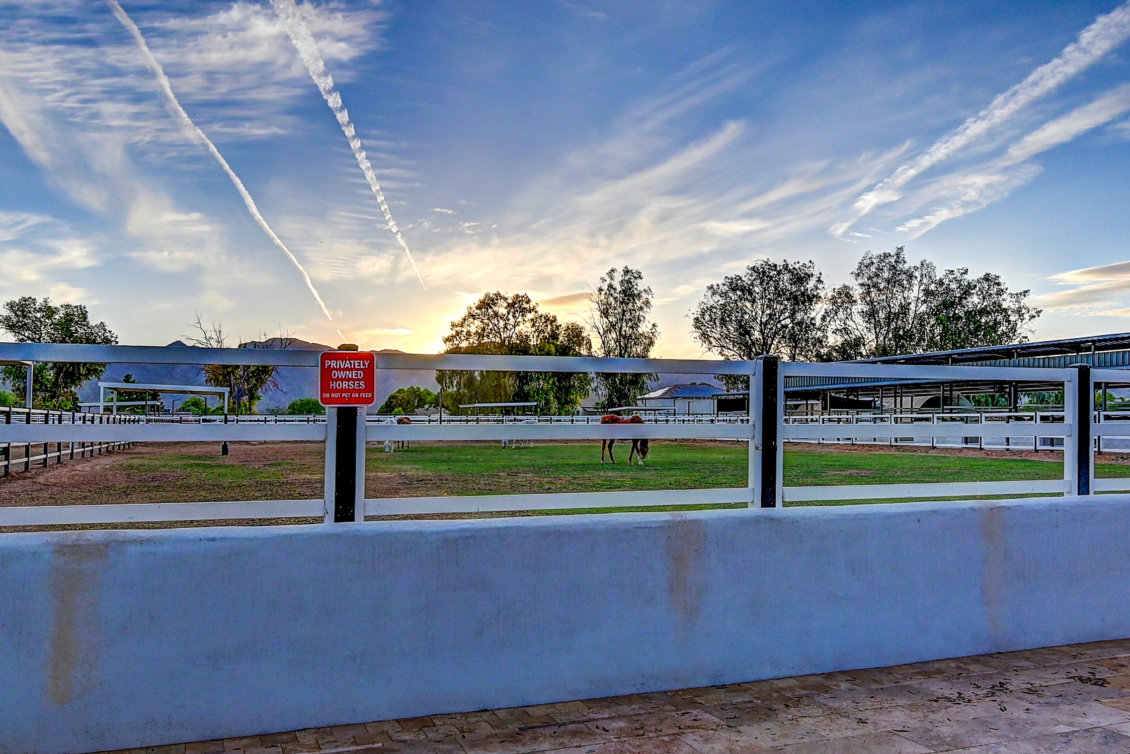 Stunning 6 Bdm Desert Ranch Equestrian Estate! | Living Quarters + Stables | For Rent or Sublet