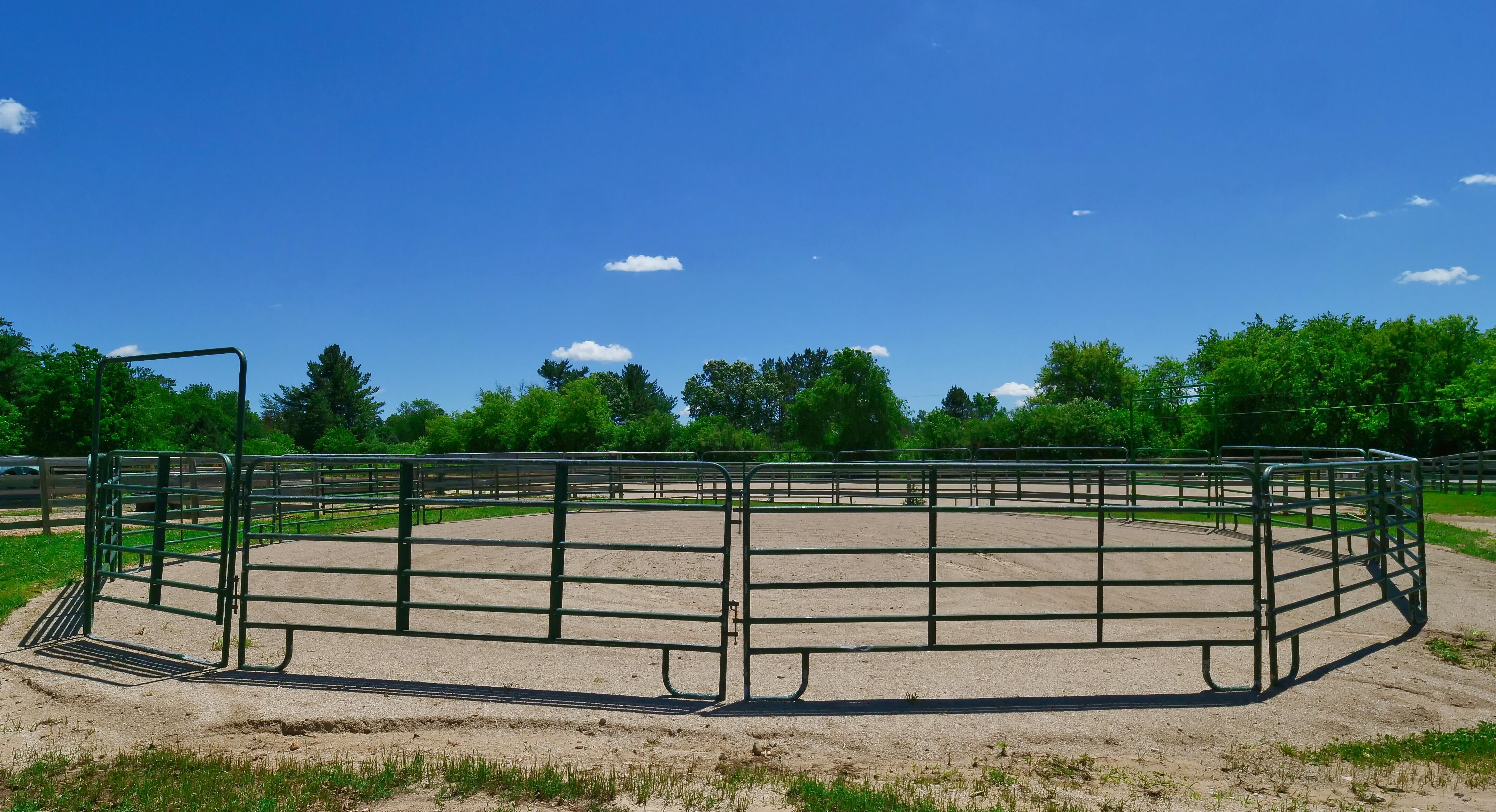 LUXURY EQUESTRIAN ESTATE---owner financing available! | Living Quarters + Stables | For Sale