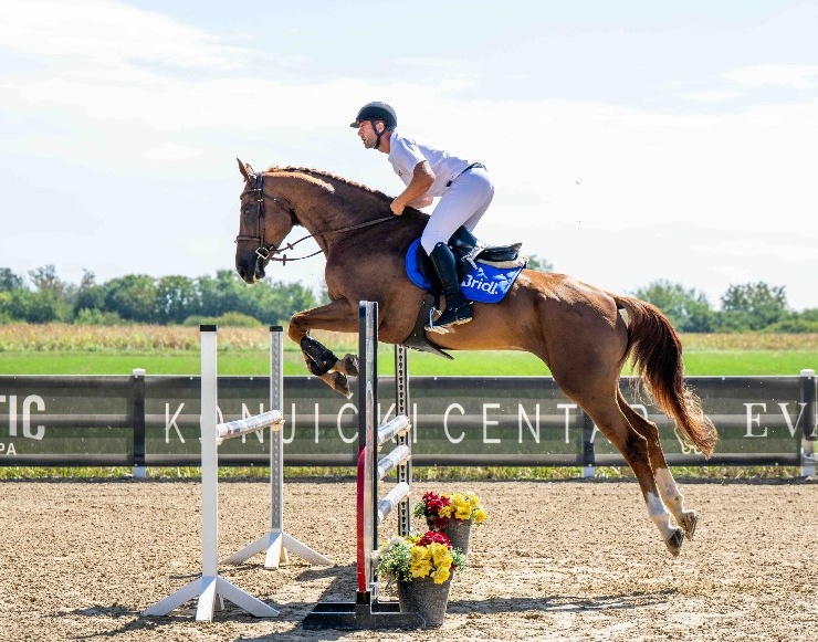 Giusto D’oro Z | 2019 | 17.2h | Zangersheide | Gelding