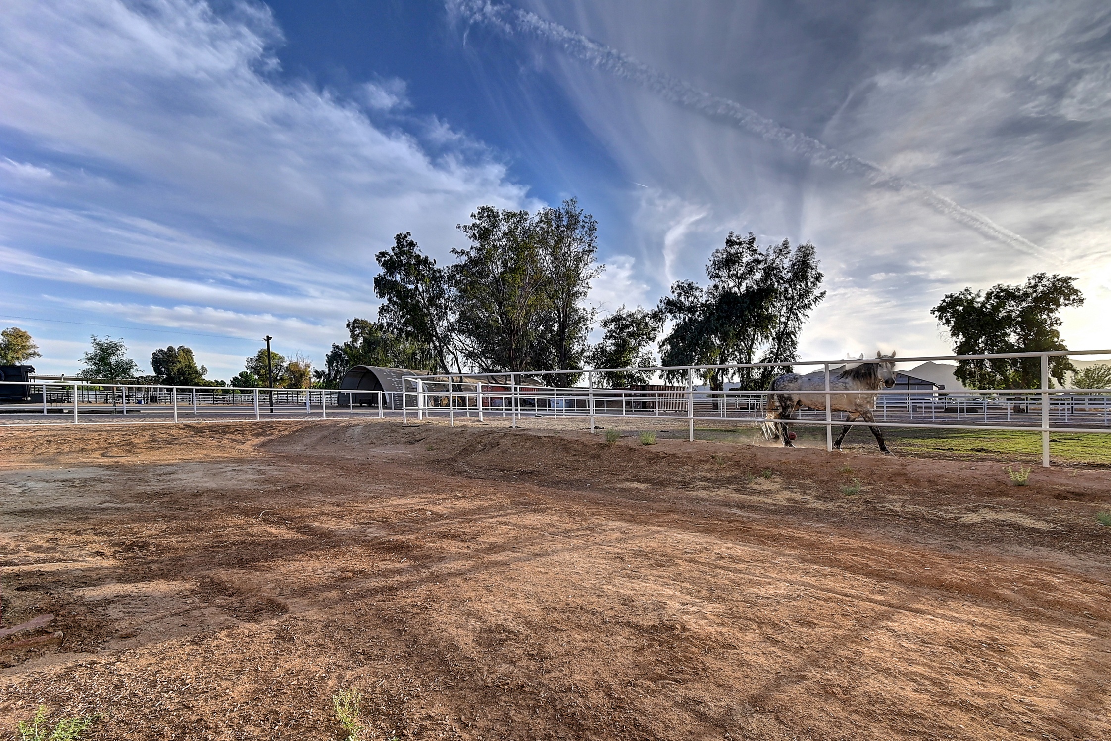 Stunning 6 Bdm Desert Ranch Equestrian Estate! | Living Quarters + Stables | For Rent or Sublet