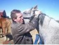 Horse Chiropractic Technique Clinic. Oct. 23rd And 24th. | Clinic