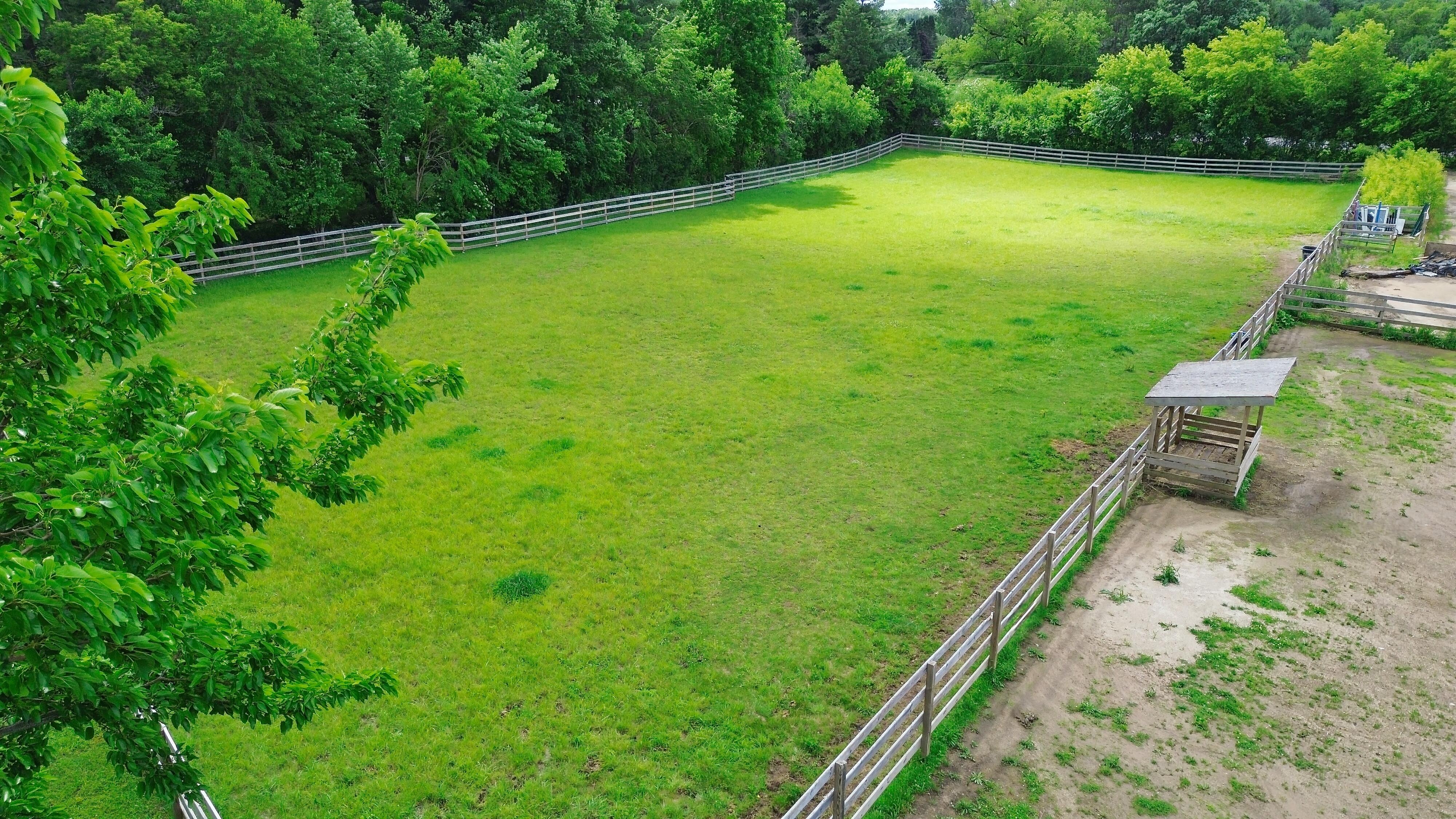 LUXURY EQUESTRIAN ESTATE---owner financing available! | Living Quarters + Stables | For Sale