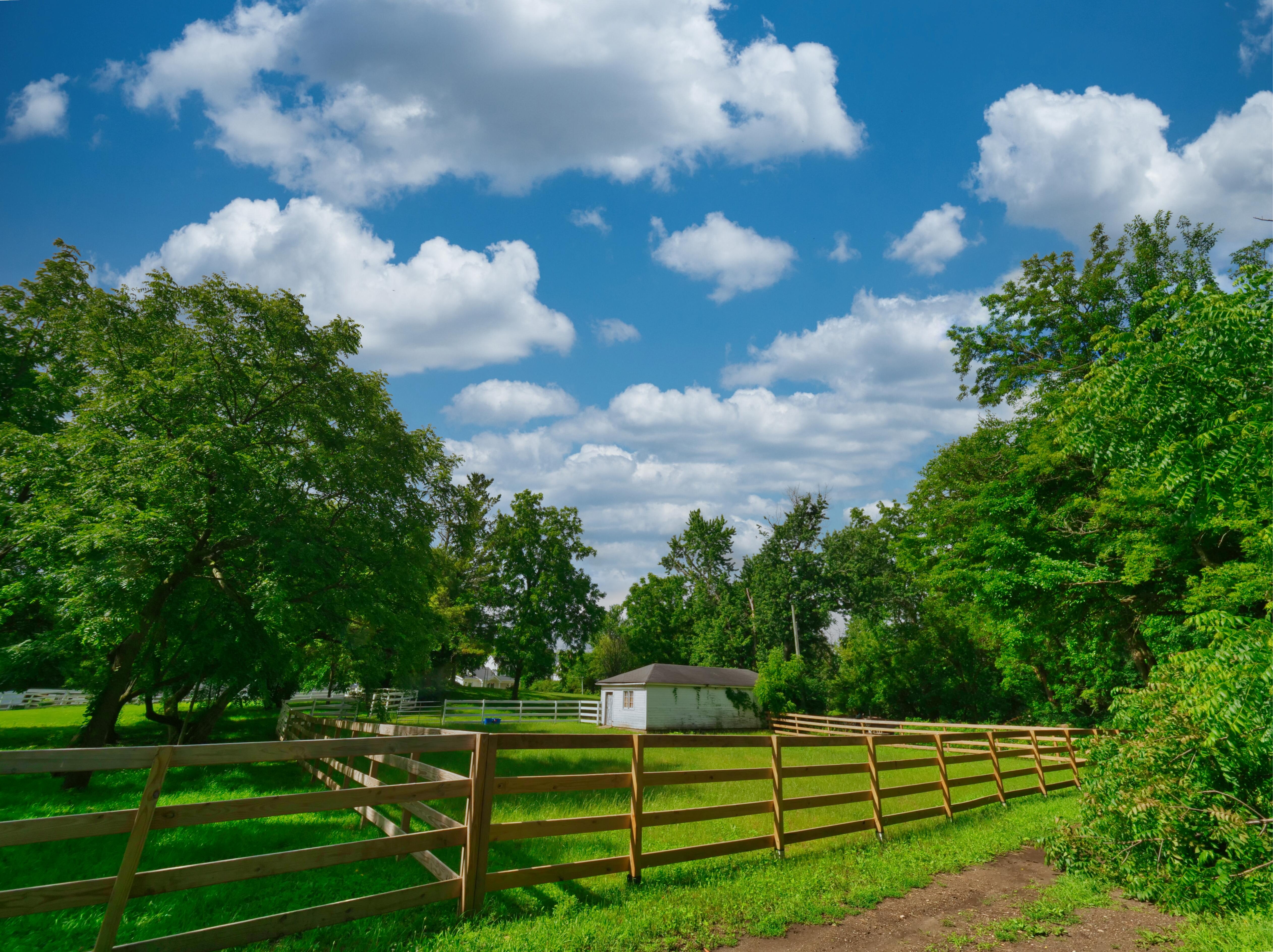 LUXURY EQUESTRIAN ESTATE---owner financing available! | Living Quarters + Stables | For Sale
