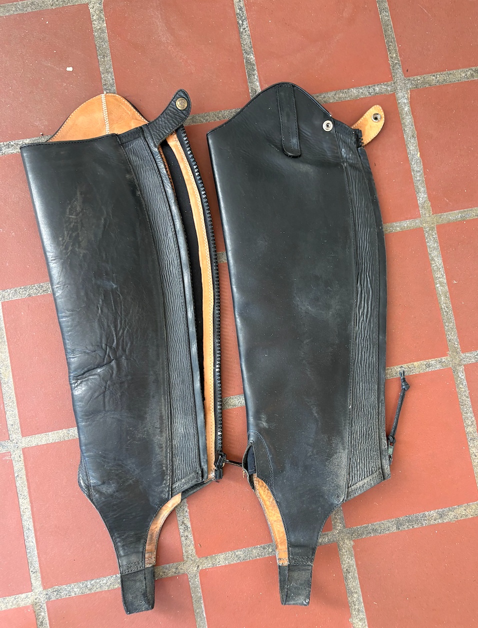 Ariat Crowne Pro Leather Half Chaps – Small Tall