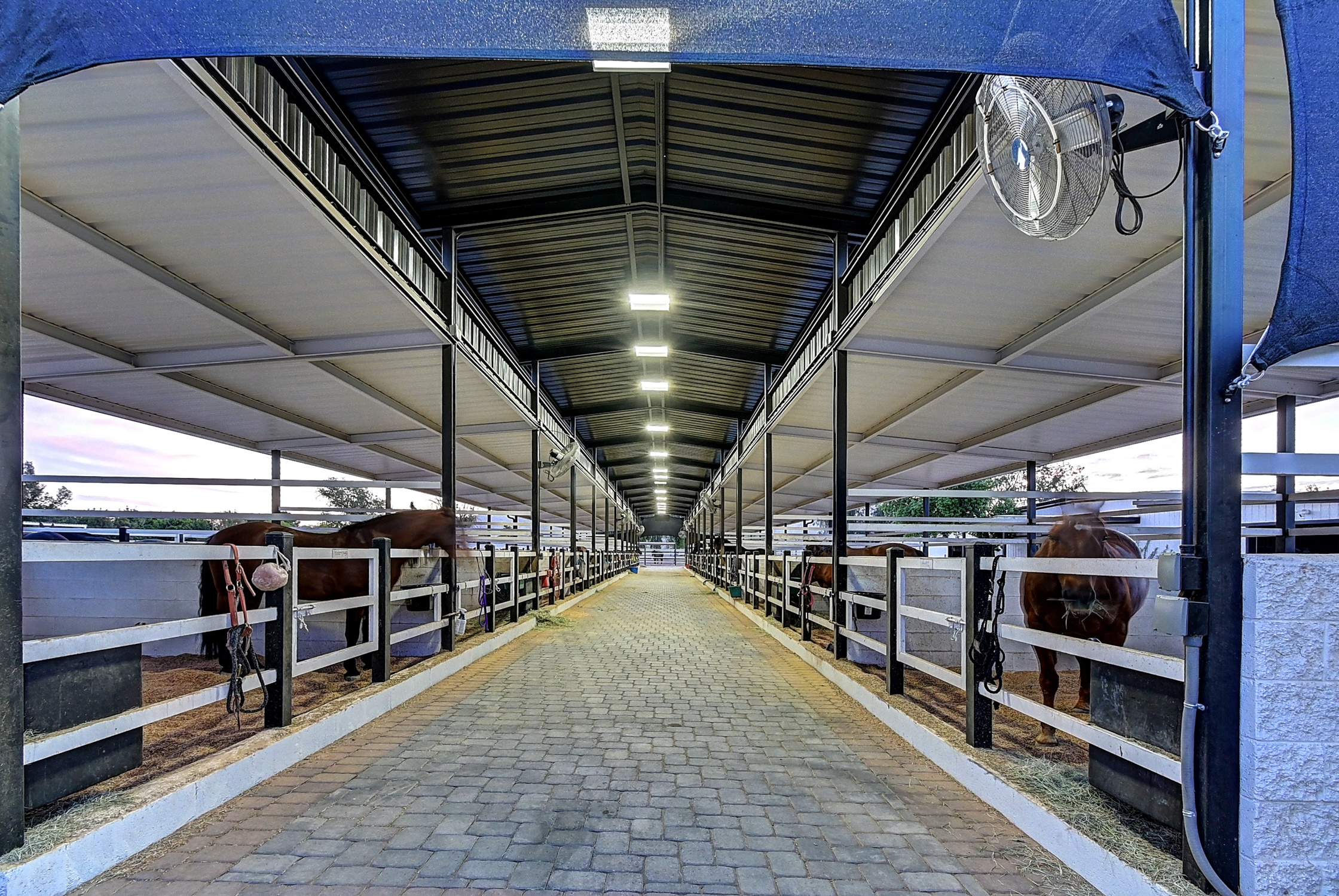 Stunning 6 Bdm Desert Ranch Equestrian Estate! | Living Quarters + Stables | For Rent or Sublet