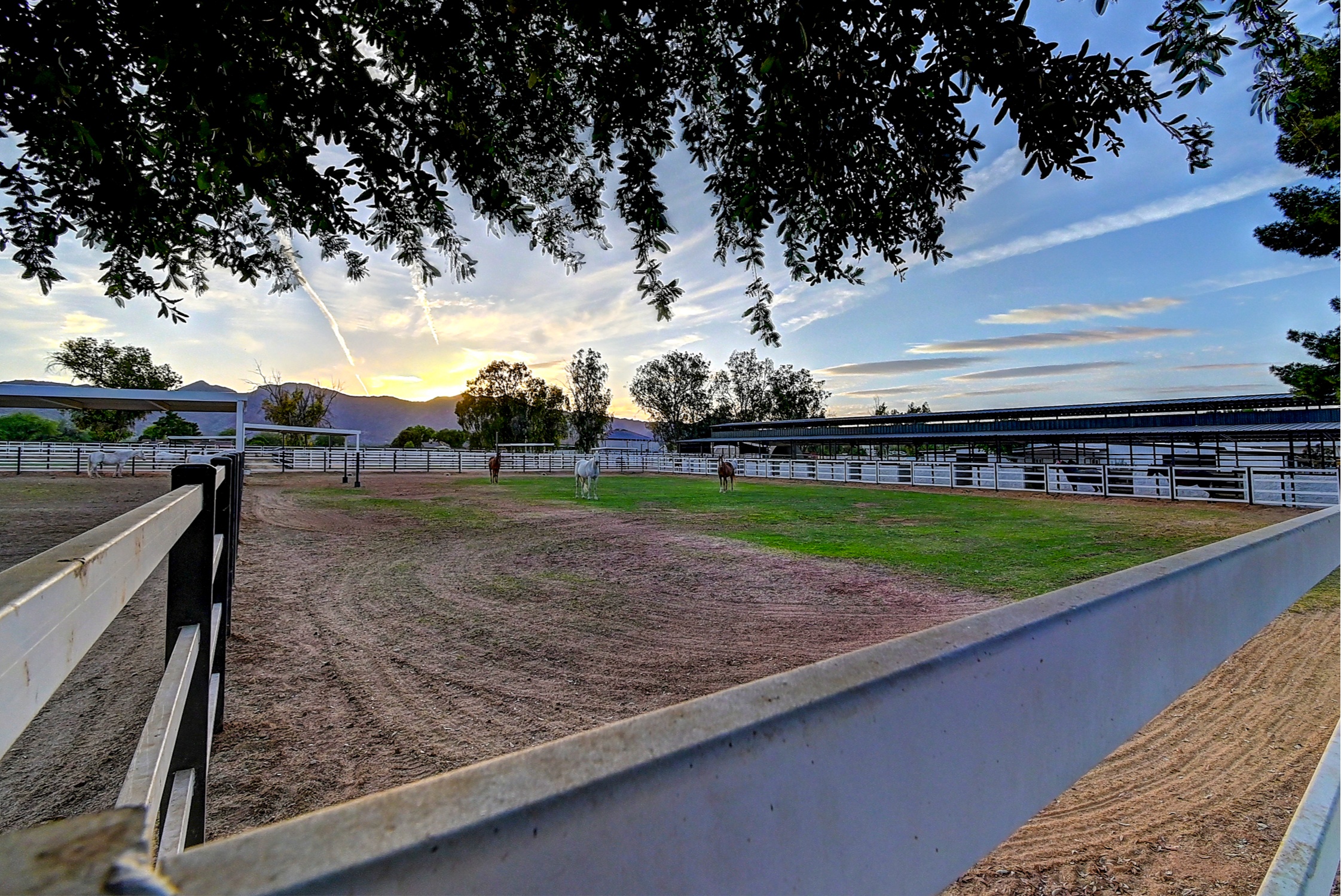 Stunning 6 Bdm Desert Ranch Equestrian Estate! | Living Quarters + Stables | For Rent or Sublet