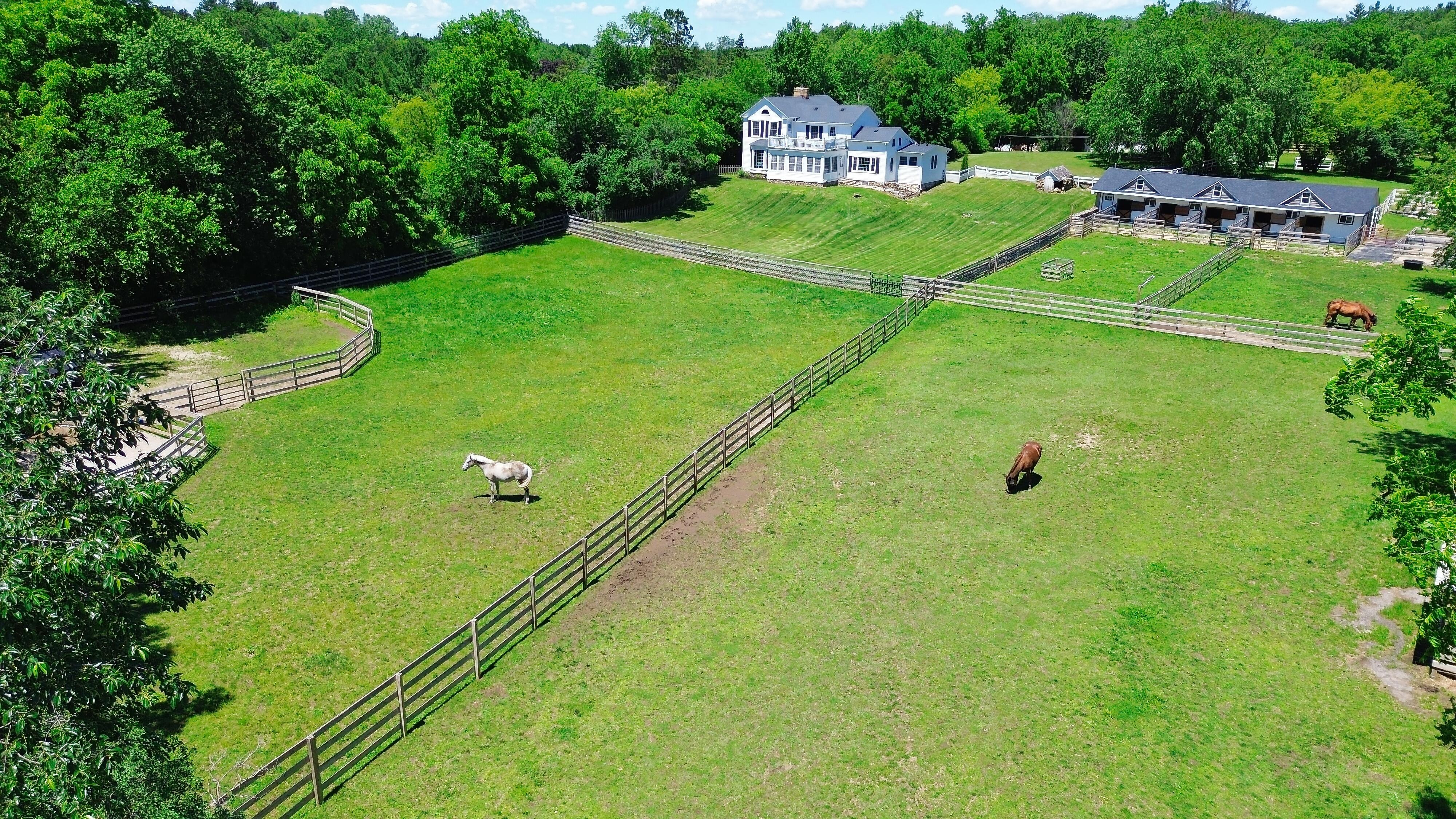 LUXURY EQUESTRIAN ESTATE---owner financing available! | Living Quarters + Stables | For Sale
