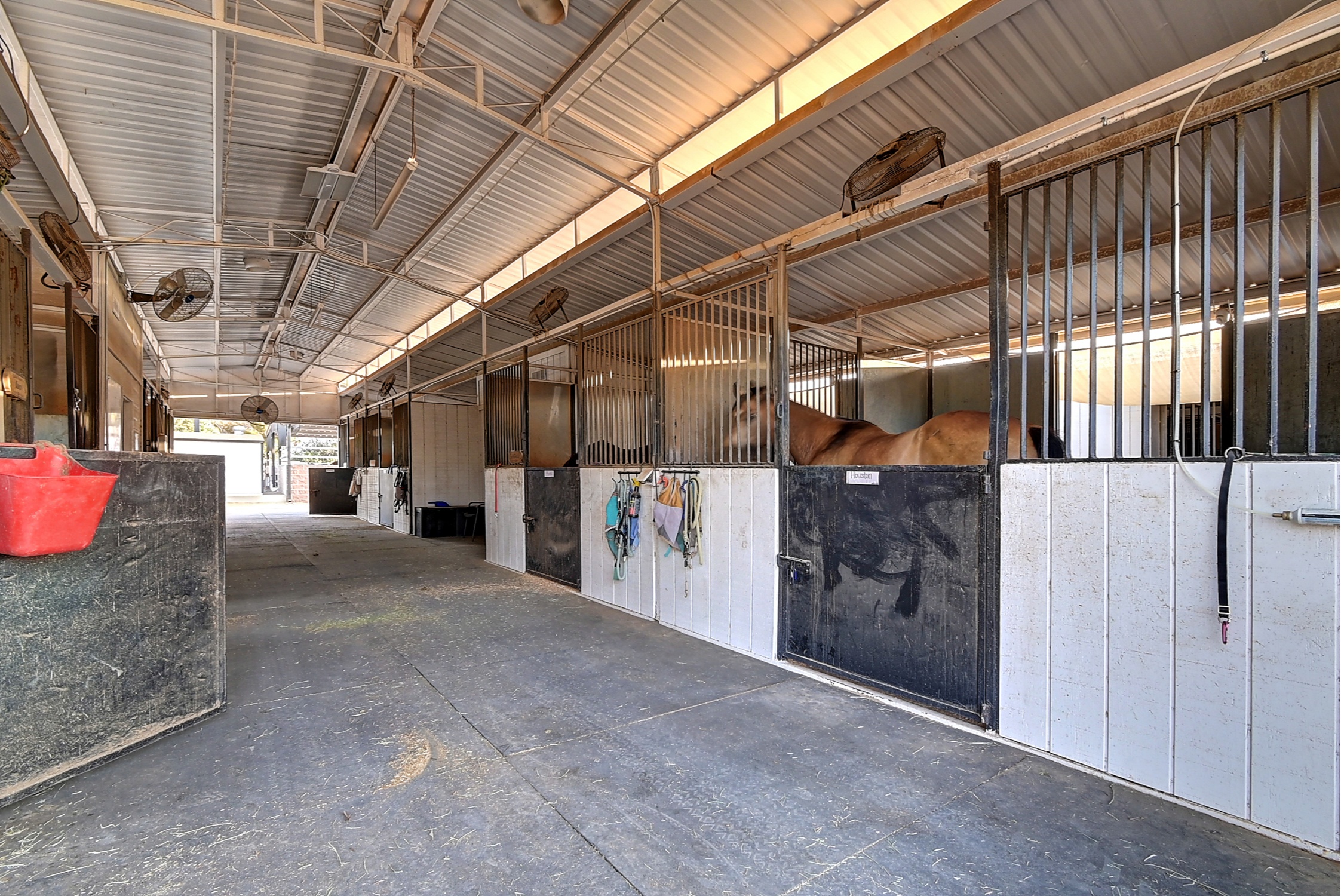 Stunning 6 Bdm Desert Ranch Equestrian Estate! | Living Quarters + Stables | For Rent or Sublet