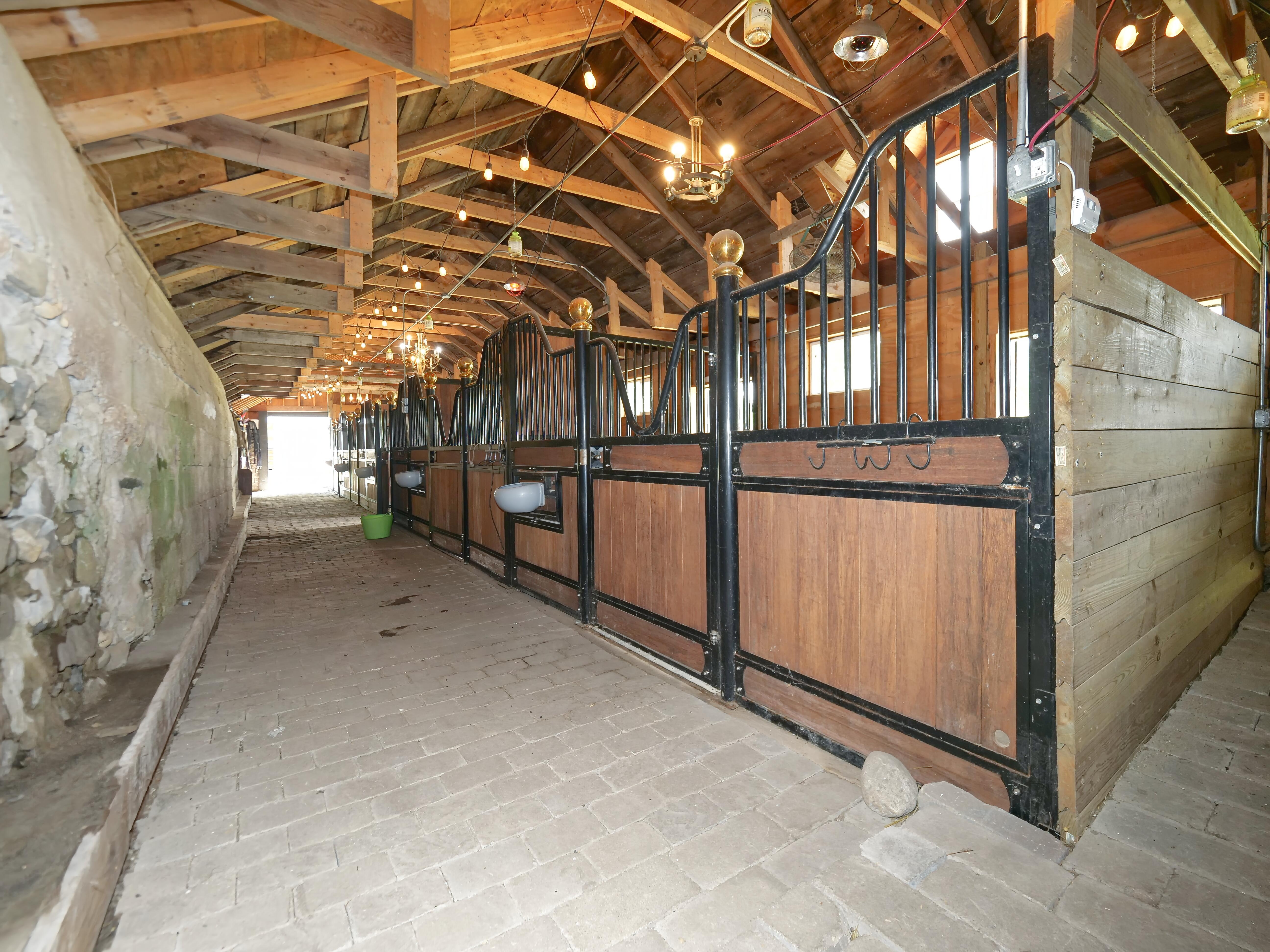 LUXURY EQUESTRIAN ESTATE---owner financing available! | Living Quarters + Stables | For Sale