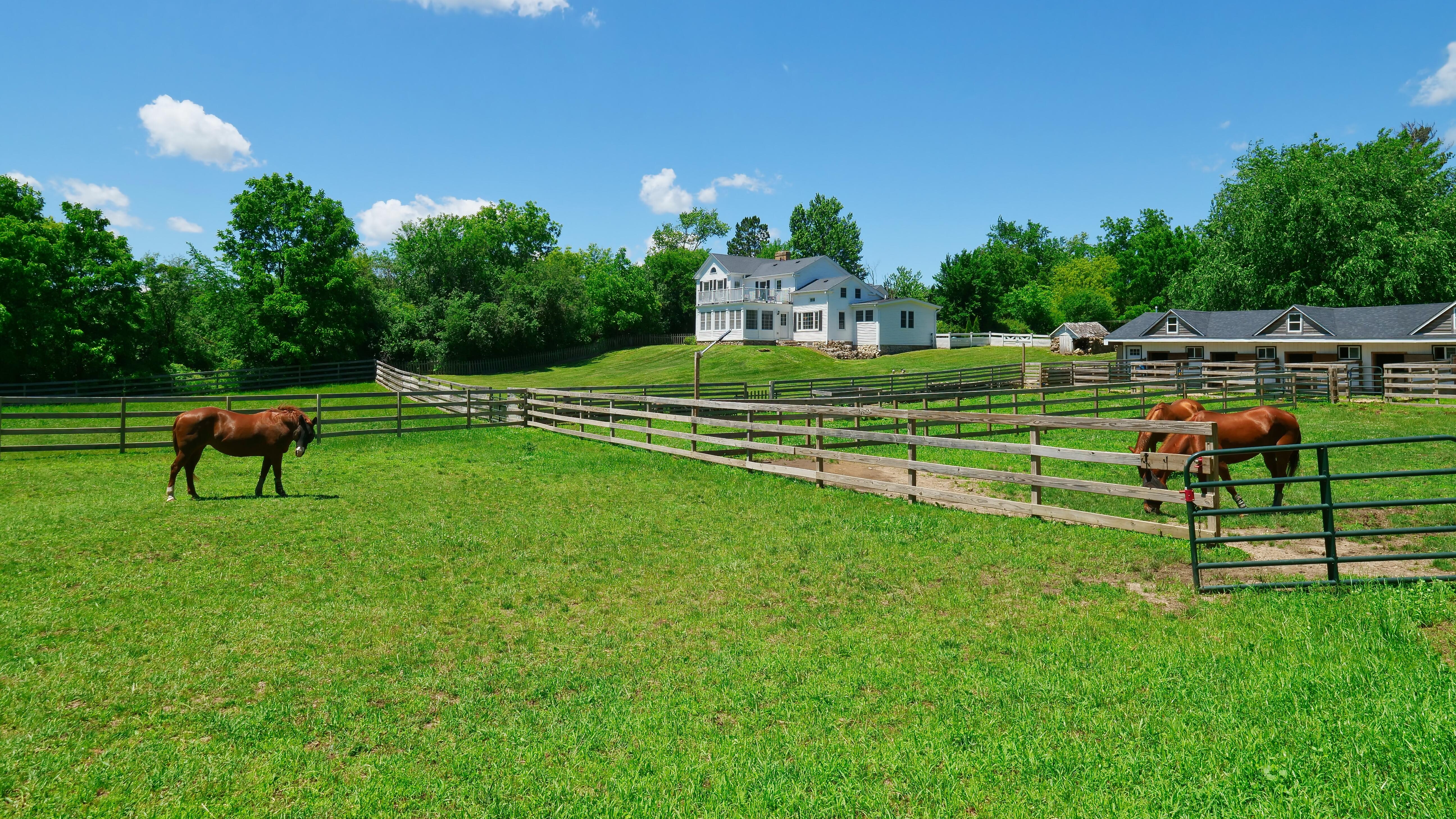 LUXURY EQUESTRIAN ESTATE---owner financing available! | Living Quarters + Stables | For Sale
