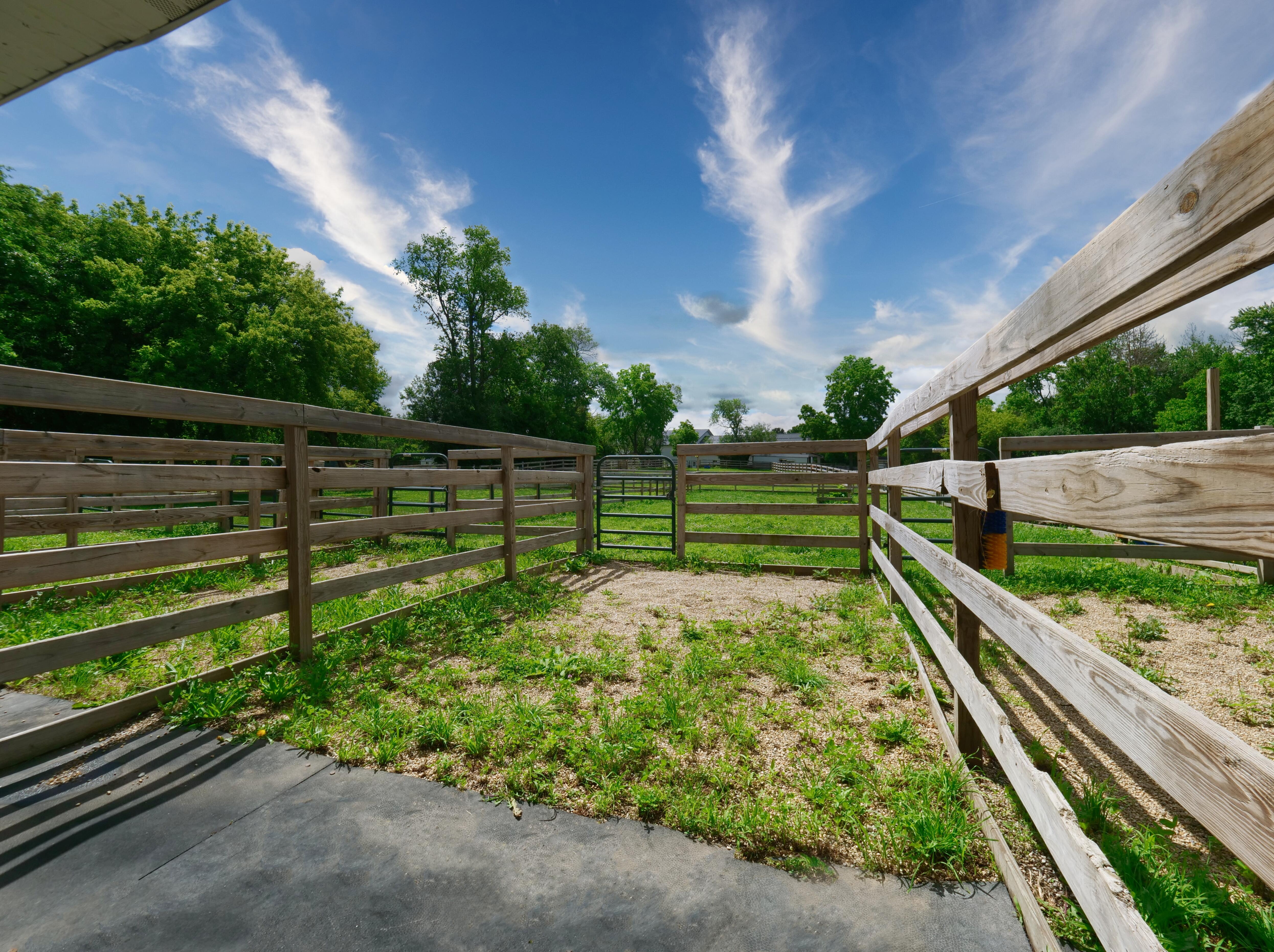LUXURY EQUESTRIAN ESTATE---owner financing available! | Living Quarters + Stables | For Sale