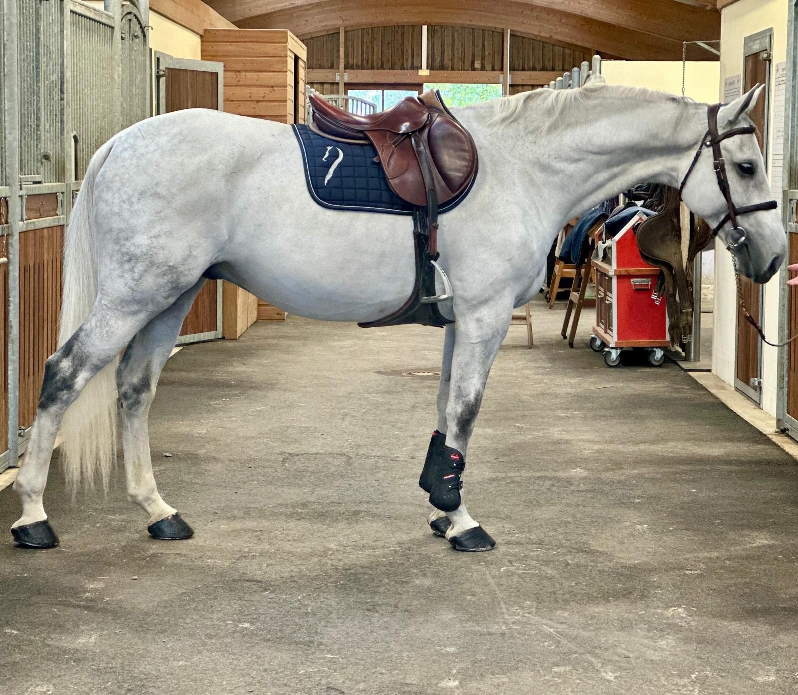 Testing Trial Map again