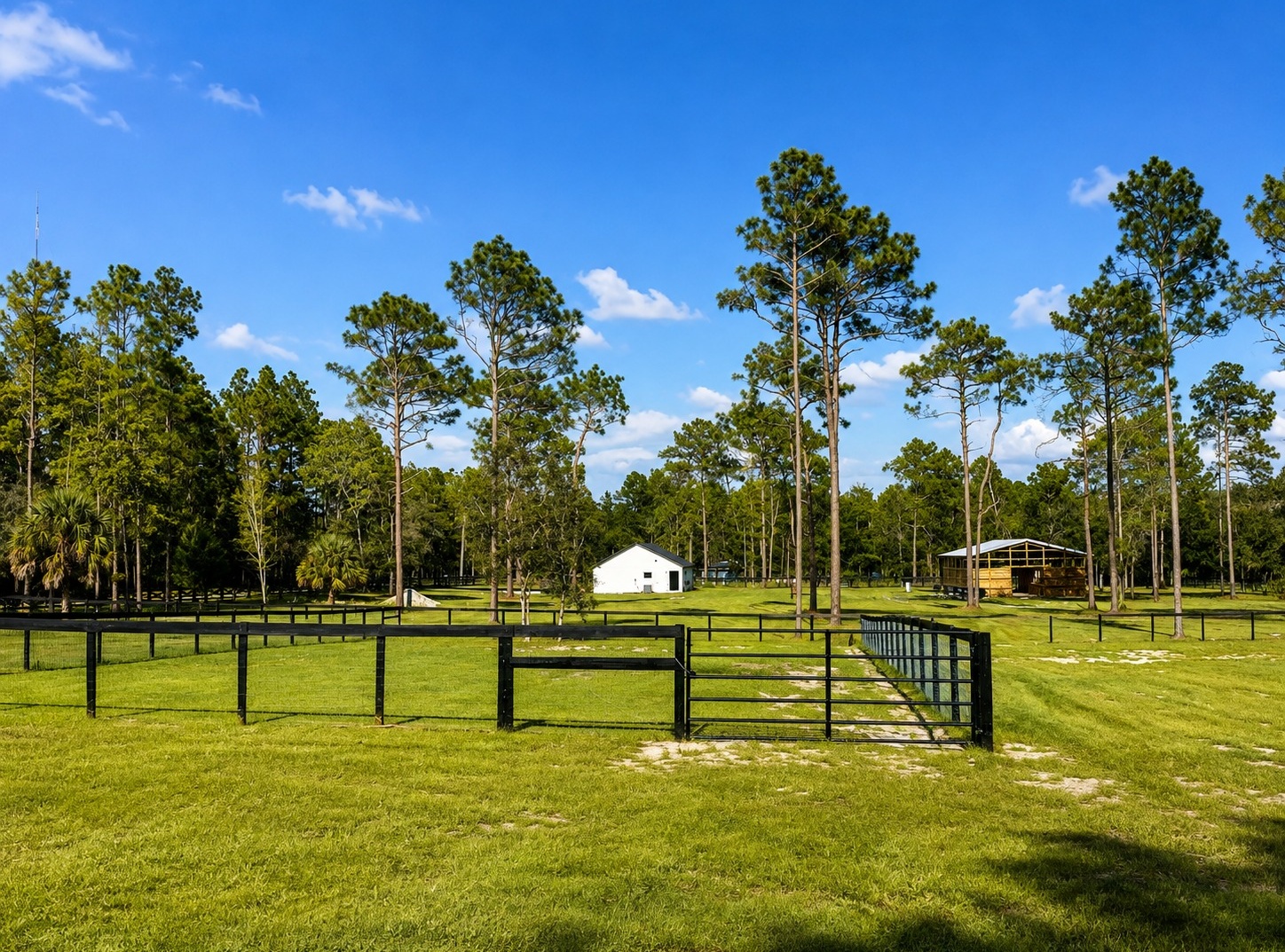 5.16-Acre Turnkey Equestrian Property Near Ocala, Florida | Living Quarters + Stables | For Sale