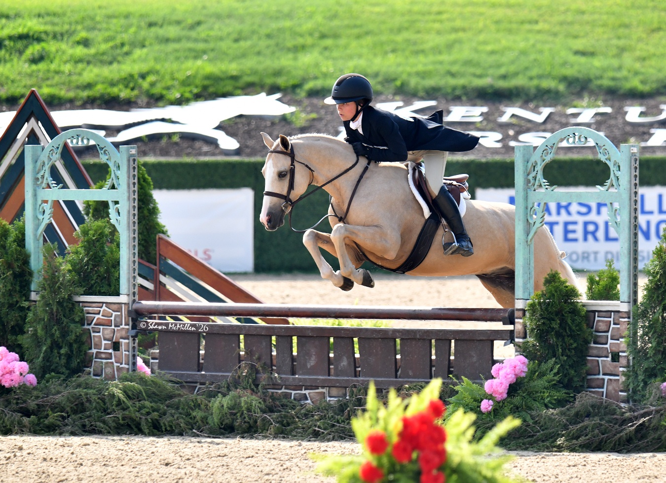 Golden Ticket | 2017 | 14.1h | German Riding Pony | Gelding