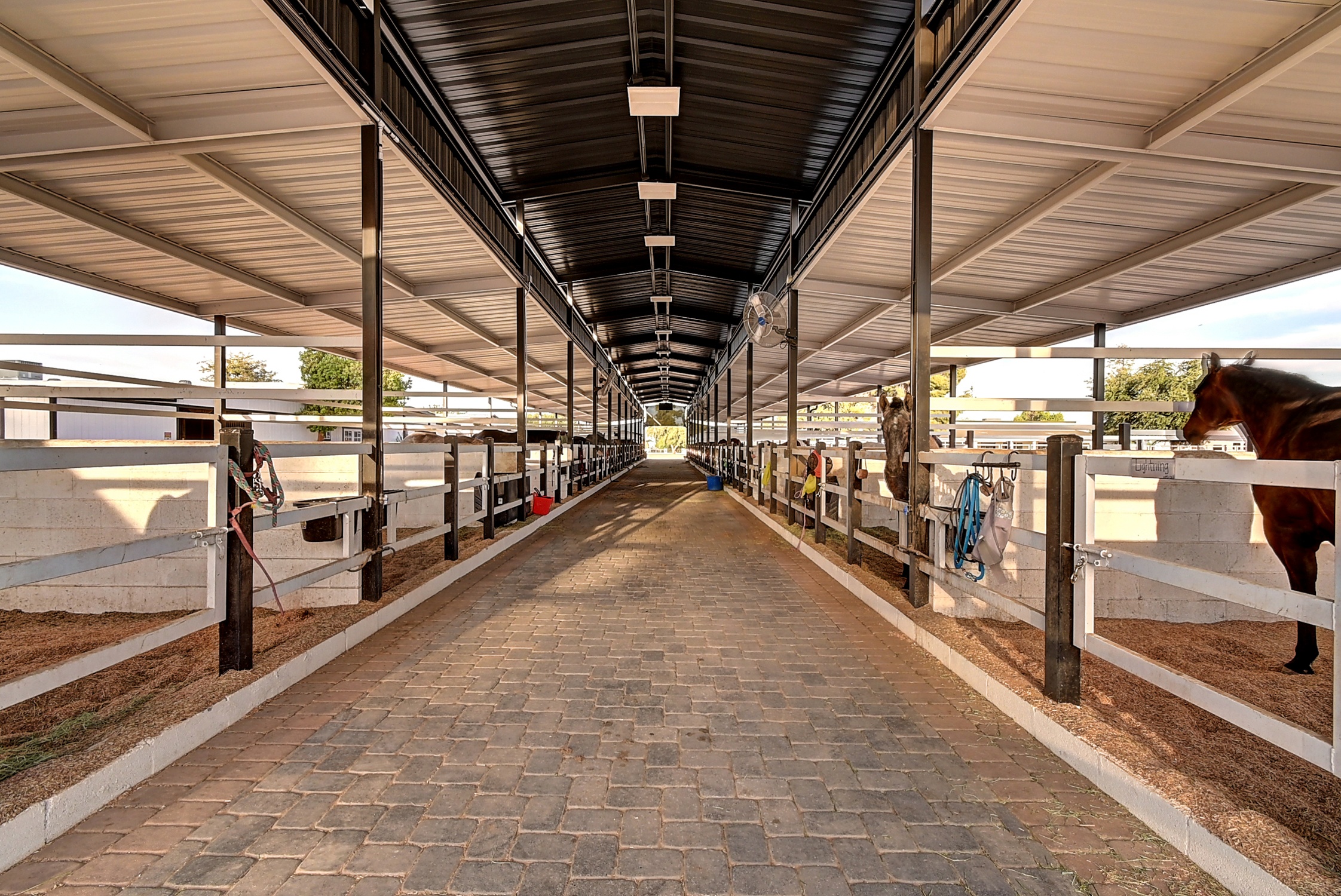 Stunning 6 Bdm Desert Ranch Equestrian Estate! | Living Quarters + Stables | For Rent or Sublet