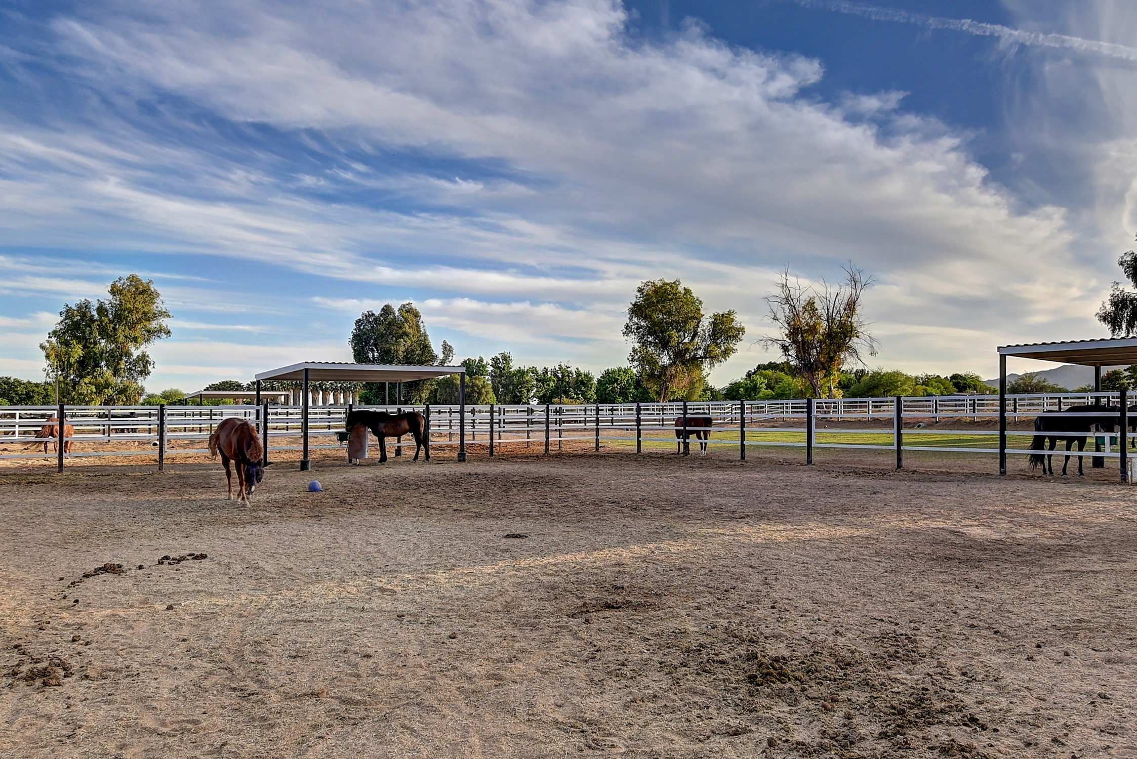Stunning 6 Bdm Desert Ranch Equestrian Estate! | Living Quarters + Stables | For Rent or Sublet