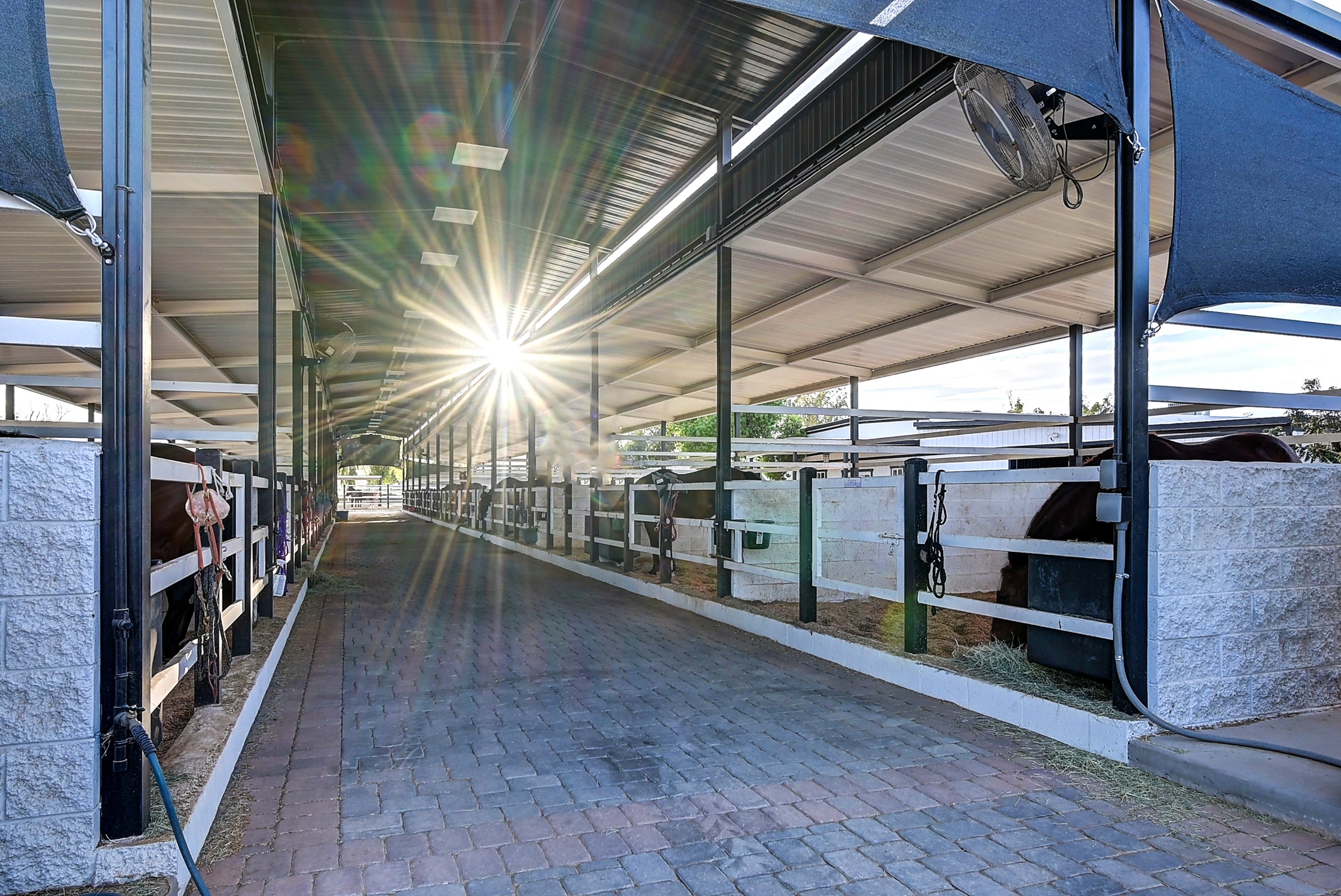 Stunning 6 Bdm Desert Ranch Equestrian Estate! | Living Quarters + Stables | For Rent or Sublet
