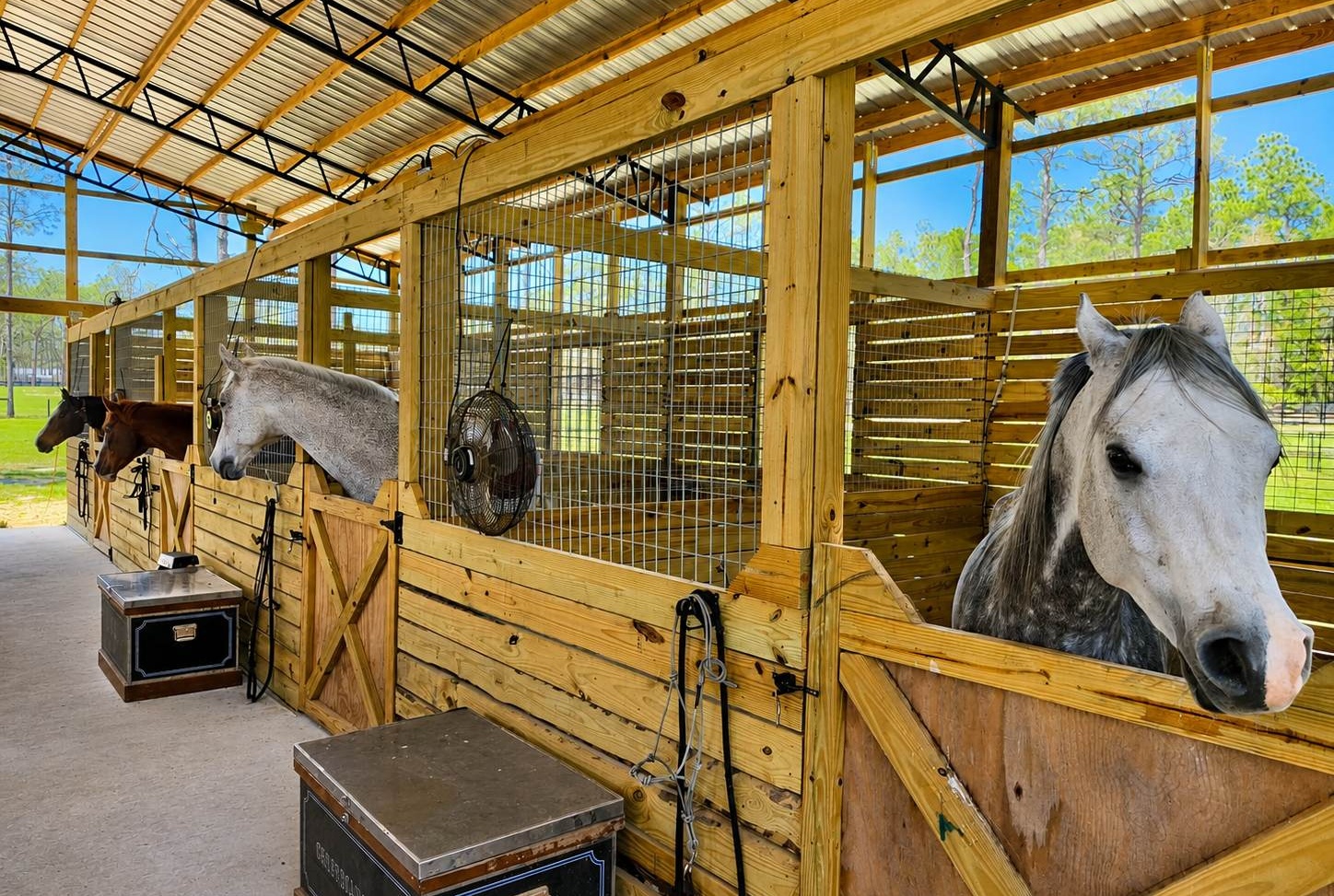 5.16-Acre Turnkey Equestrian Property Near Ocala, Florida | Living Quarters + Stables | For Sale