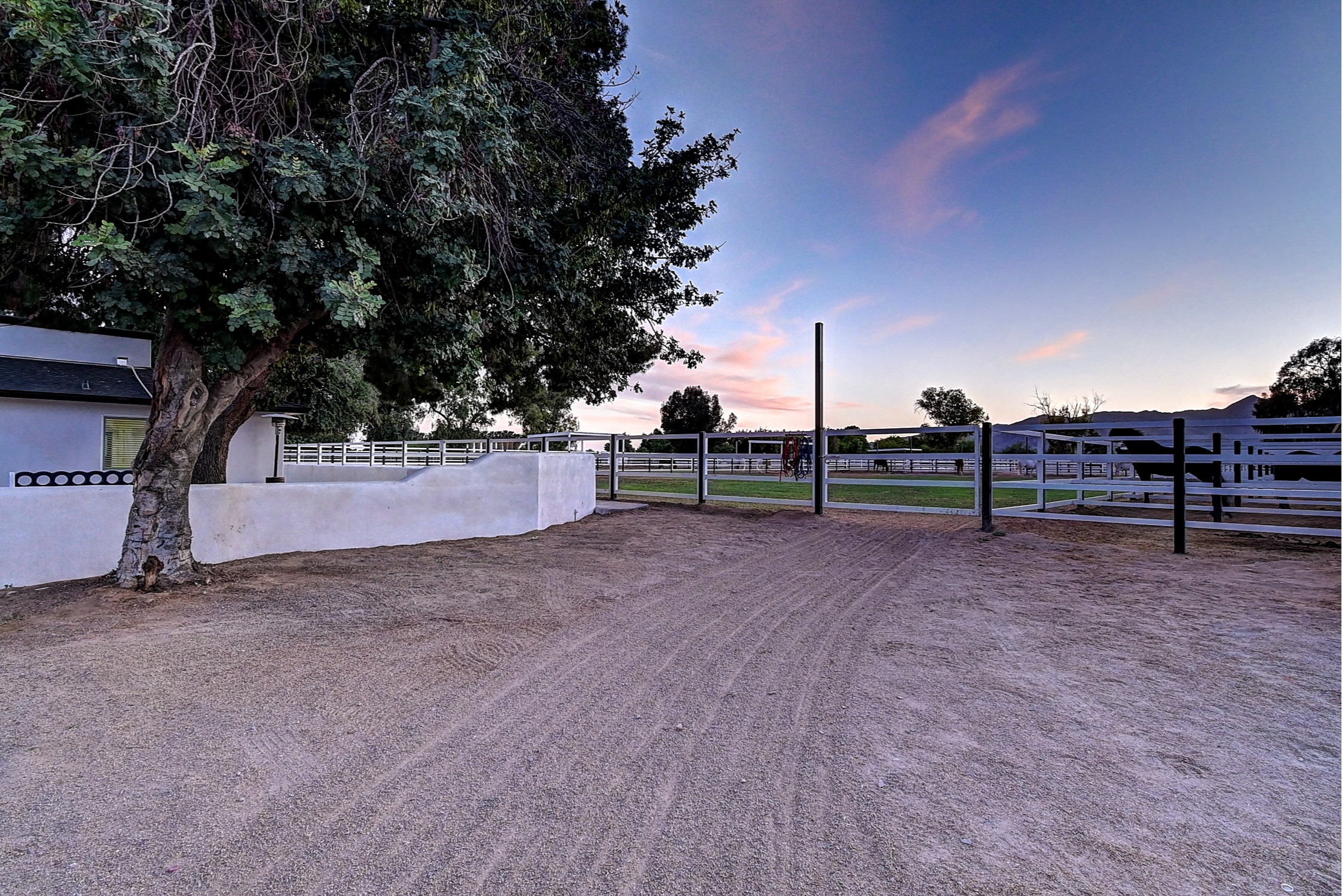 Stunning 6 Bdm Desert Ranch Equestrian Estate! | Living Quarters + Stables | For Rent or Sublet