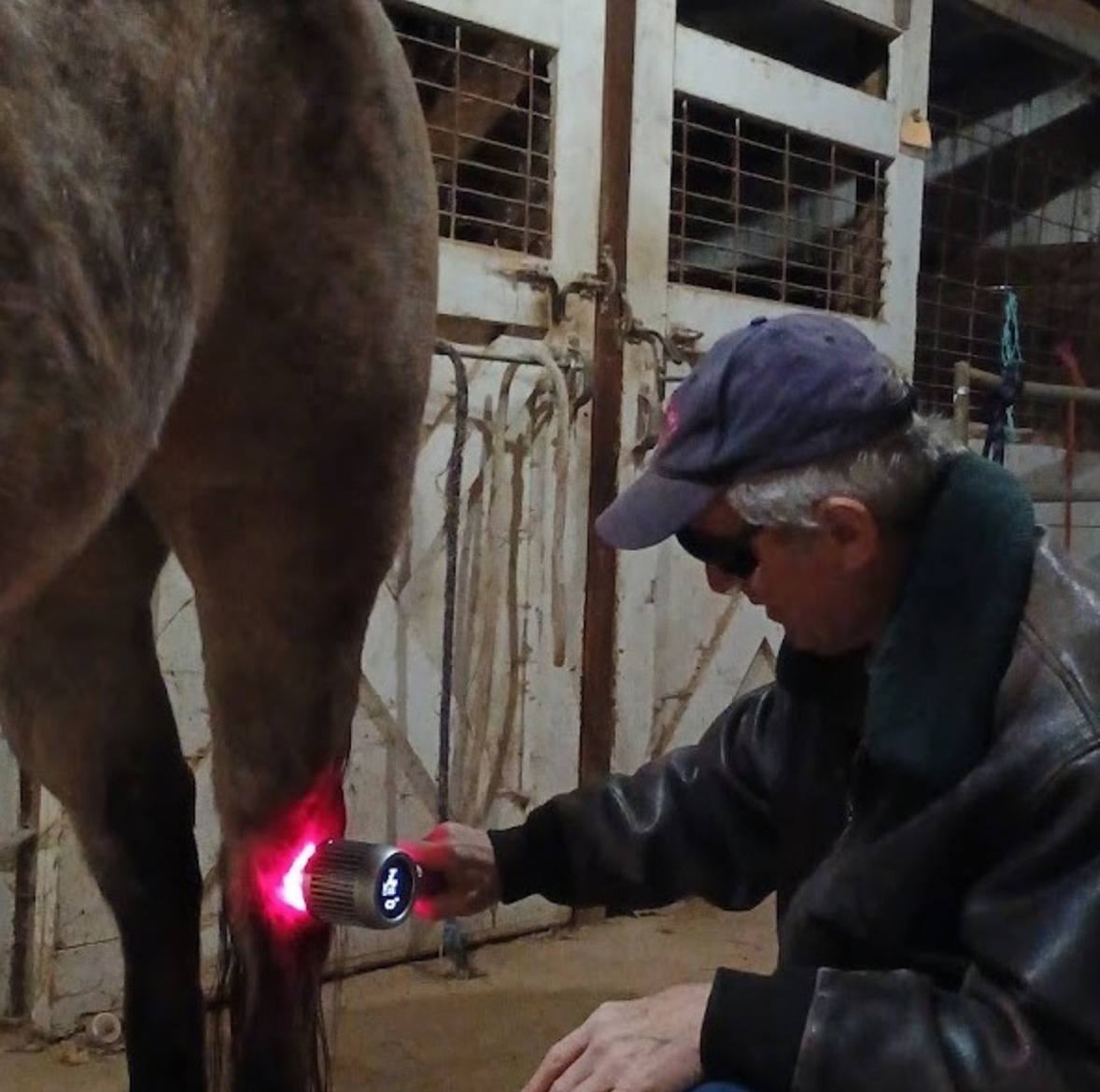 Veterinary Class 4 Laser. Demo. Barely Used.  $1295. Reg. $1695.
