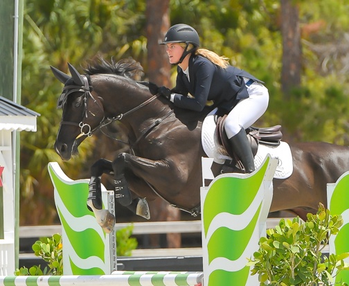 Equestrian Business Development, Marketing & Professional Services | LEV | Business Services