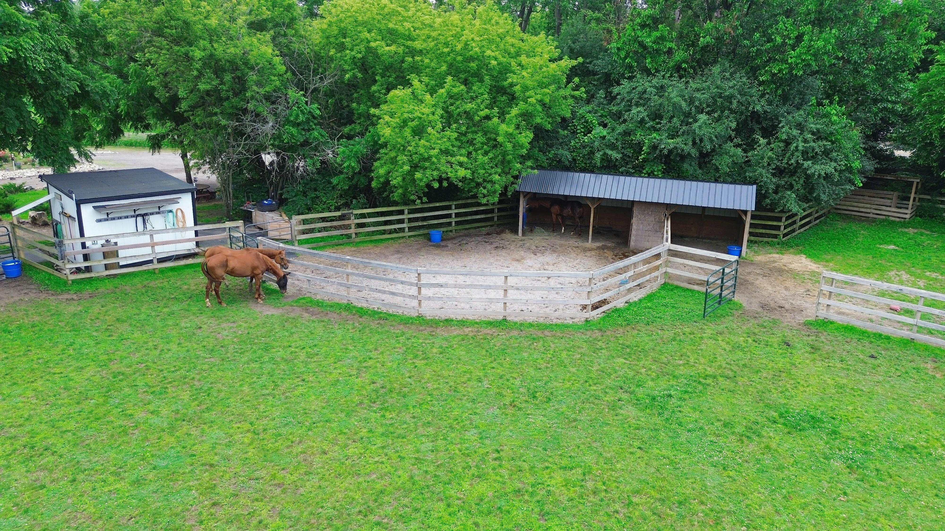 LUXURY EQUESTRIAN ESTATE---owner financing available! | Living Quarters + Stables | For Sale