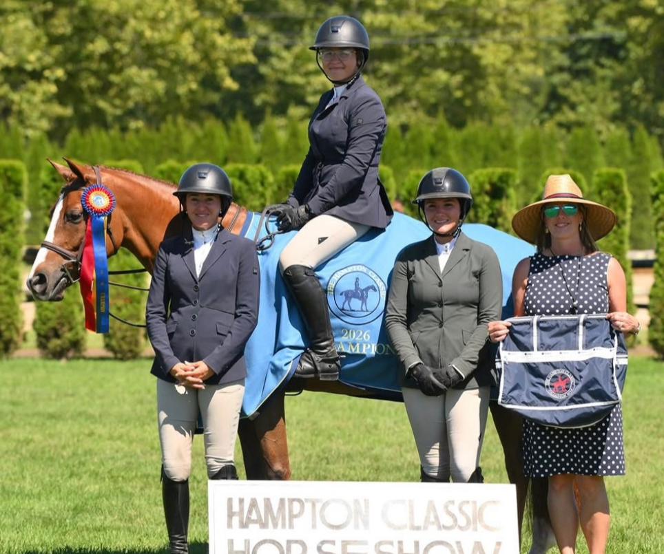 Scamander - LEASE ONLY | 2020 | 14.2h | Welsh Cross | Gelding