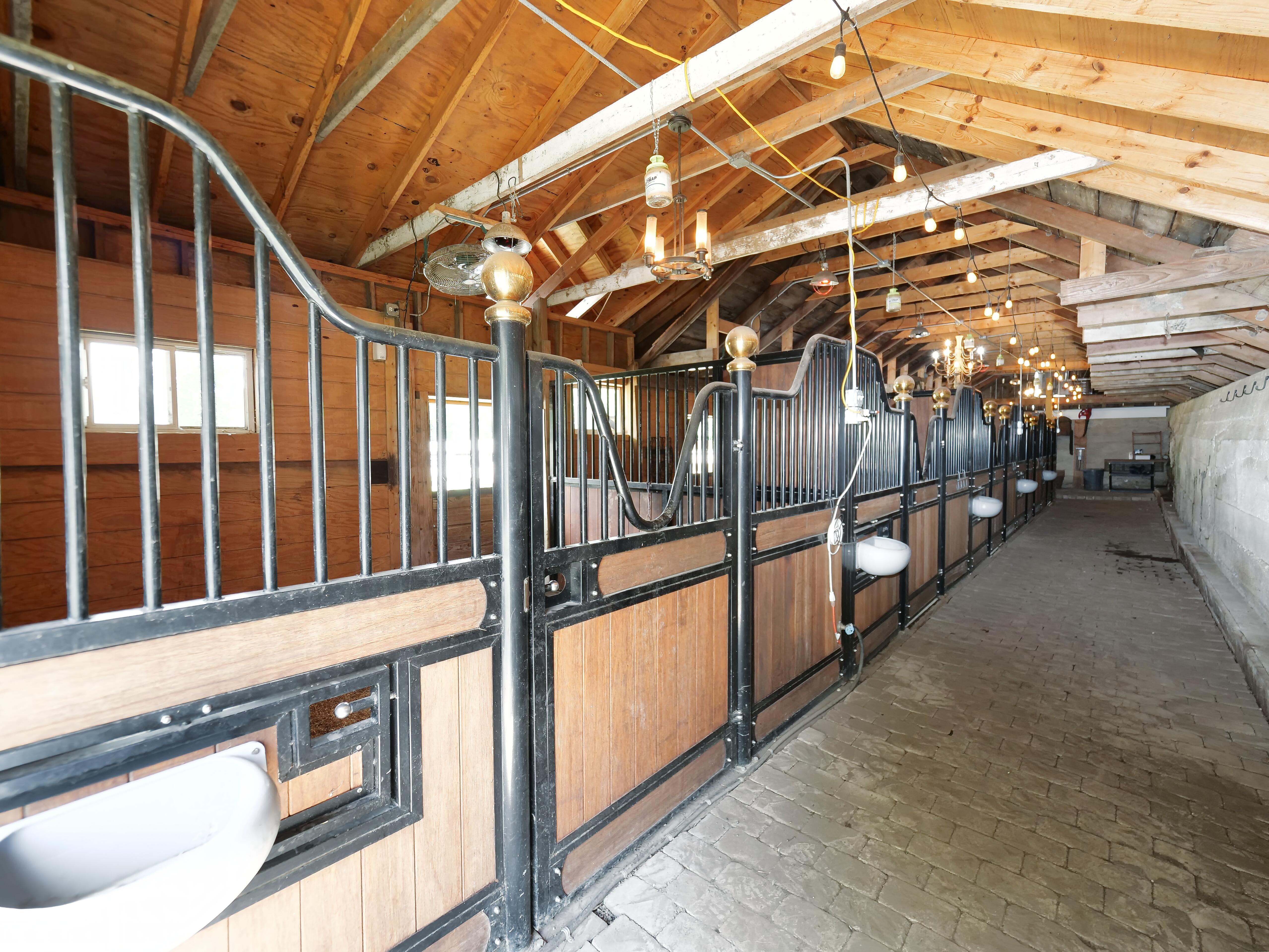 LUXURY EQUESTRIAN ESTATE---owner financing available! | Living Quarters + Stables | For Sale
