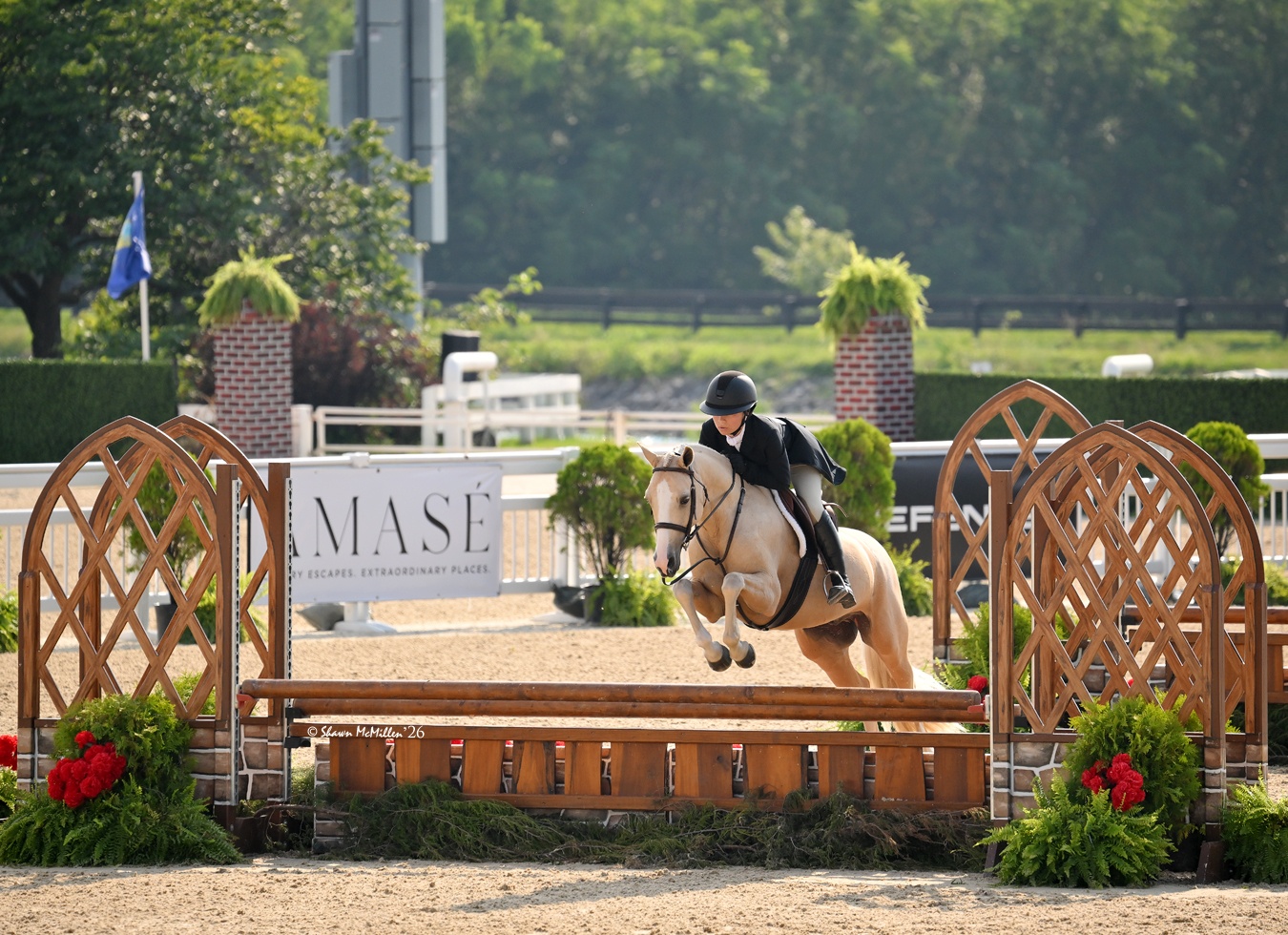 Golden Ticket | 2017 | 14.1h | German Riding Pony | Gelding