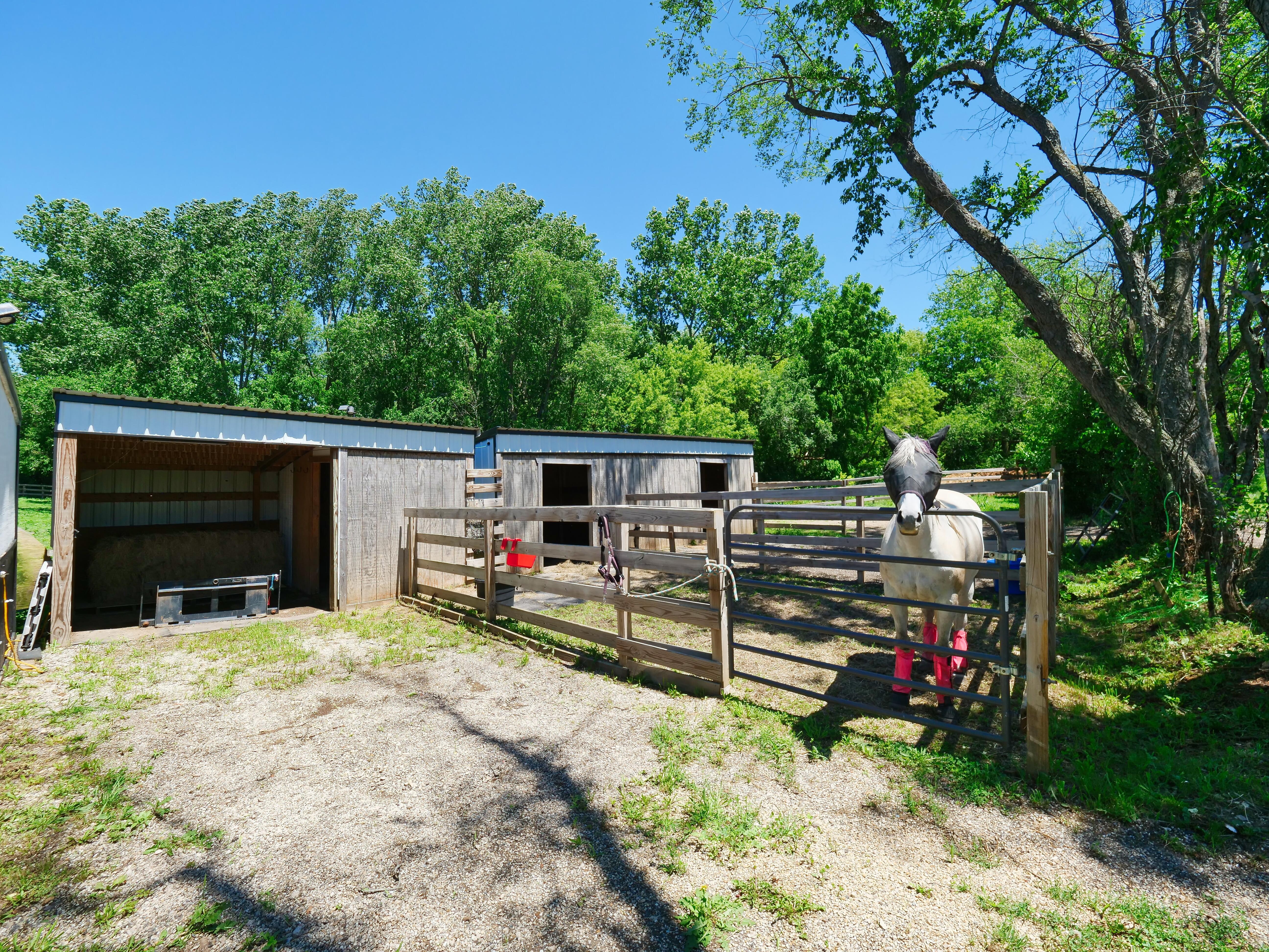 LUXURY EQUESTRIAN ESTATE---owner financing available! | Living Quarters + Stables | For Sale