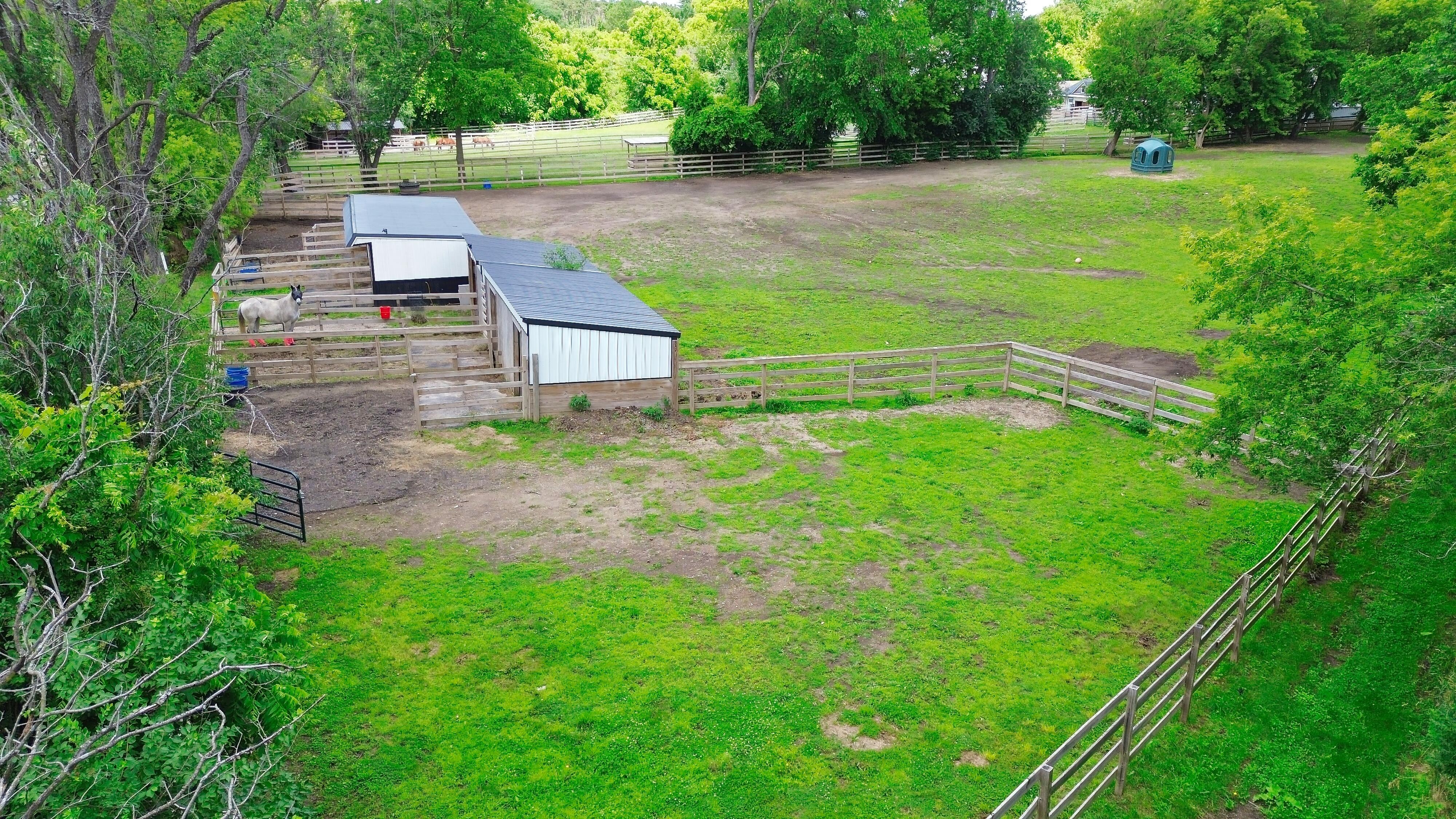 LUXURY EQUESTRIAN ESTATE---owner financing available! | Living Quarters + Stables | For Sale