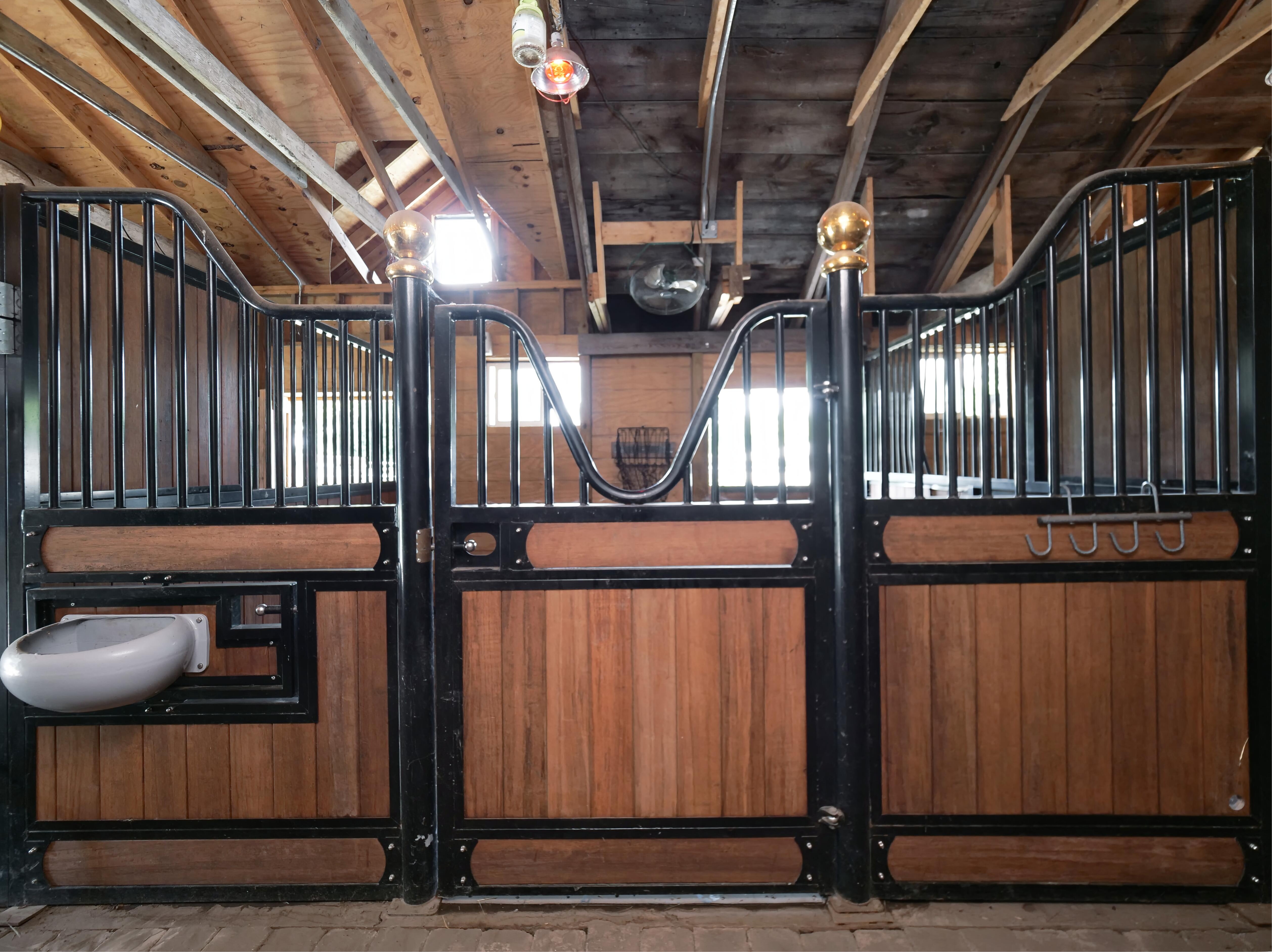 LUXURY EQUESTRIAN ESTATE---owner financing available! | Living Quarters + Stables | For Sale