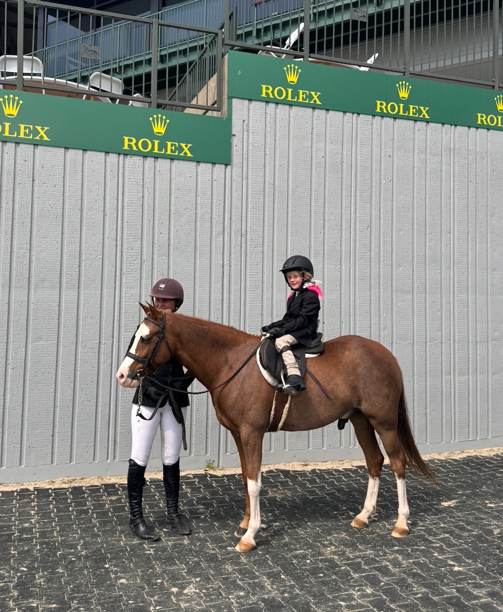 Royal Luxe | 2020 | 13.2h | Welsh Pony | Gelding