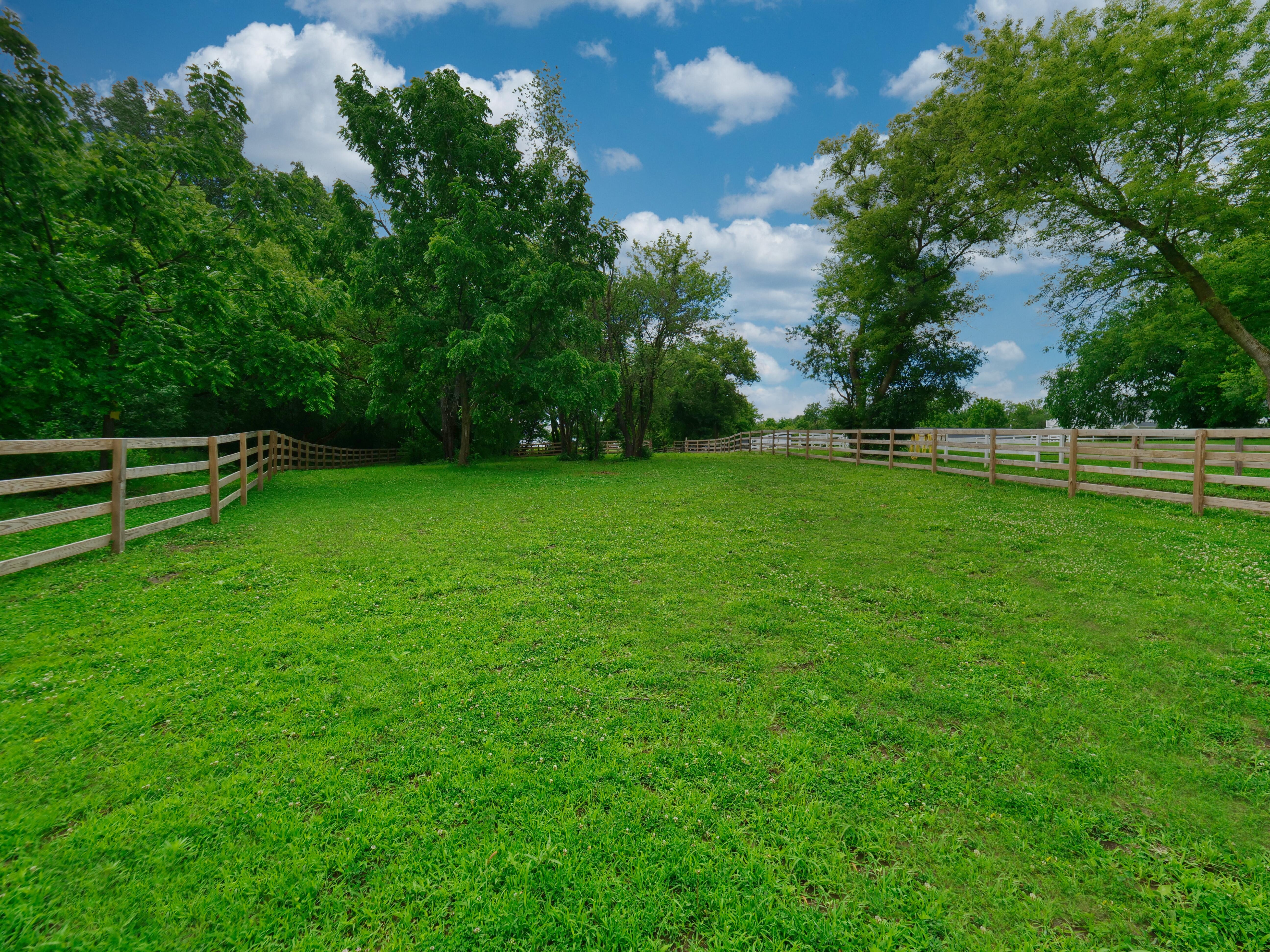 LUXURY EQUESTRIAN ESTATE---owner financing available! | Living Quarters + Stables | For Sale