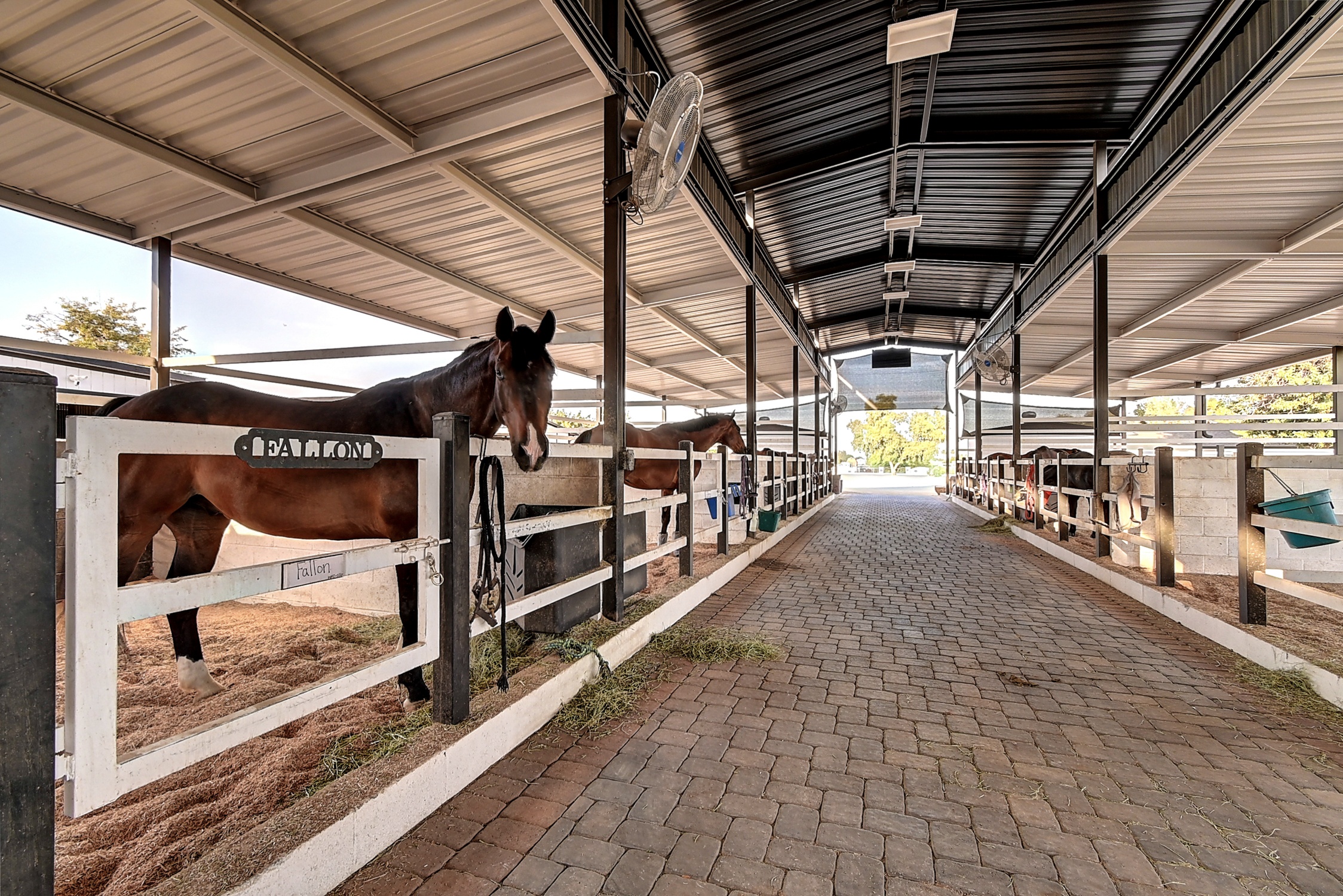 Stunning 6 Bdm Desert Ranch Equestrian Estate! | Living Quarters + Stables | For Rent or Sublet