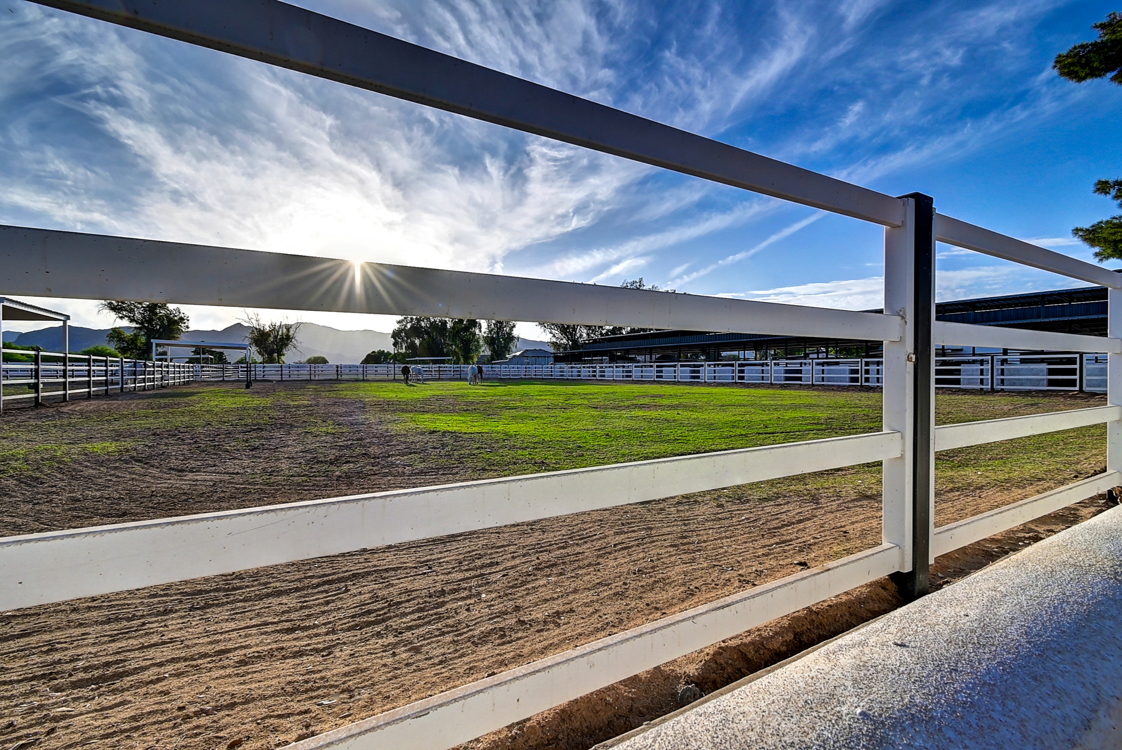 Stunning 6 Bdm Desert Ranch Equestrian Estate! | Living Quarters + Stables | For Rent or Sublet