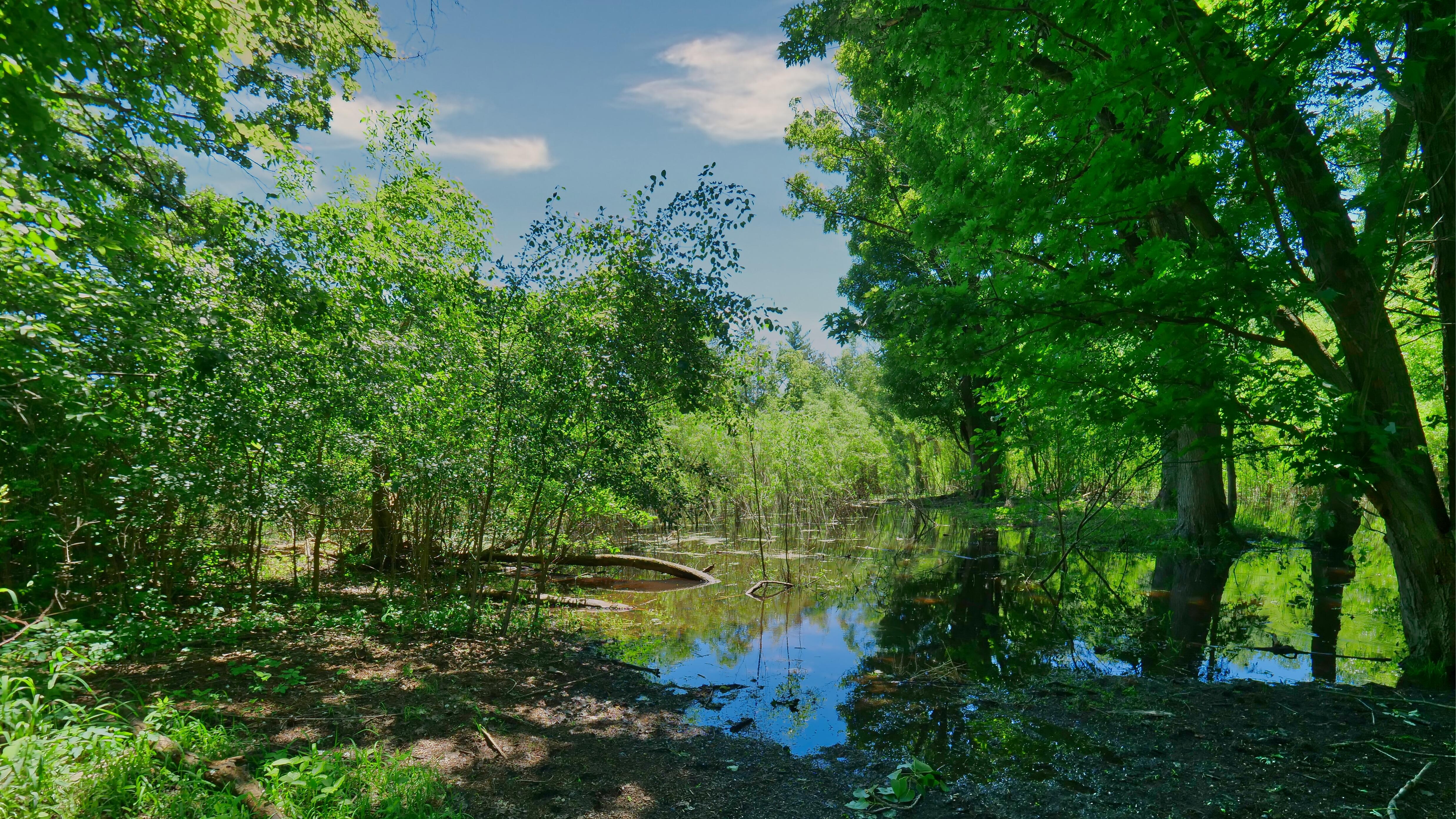 LUXURY EQUESTRIAN ESTATE---owner financing available! | Living Quarters + Stables | For Sale