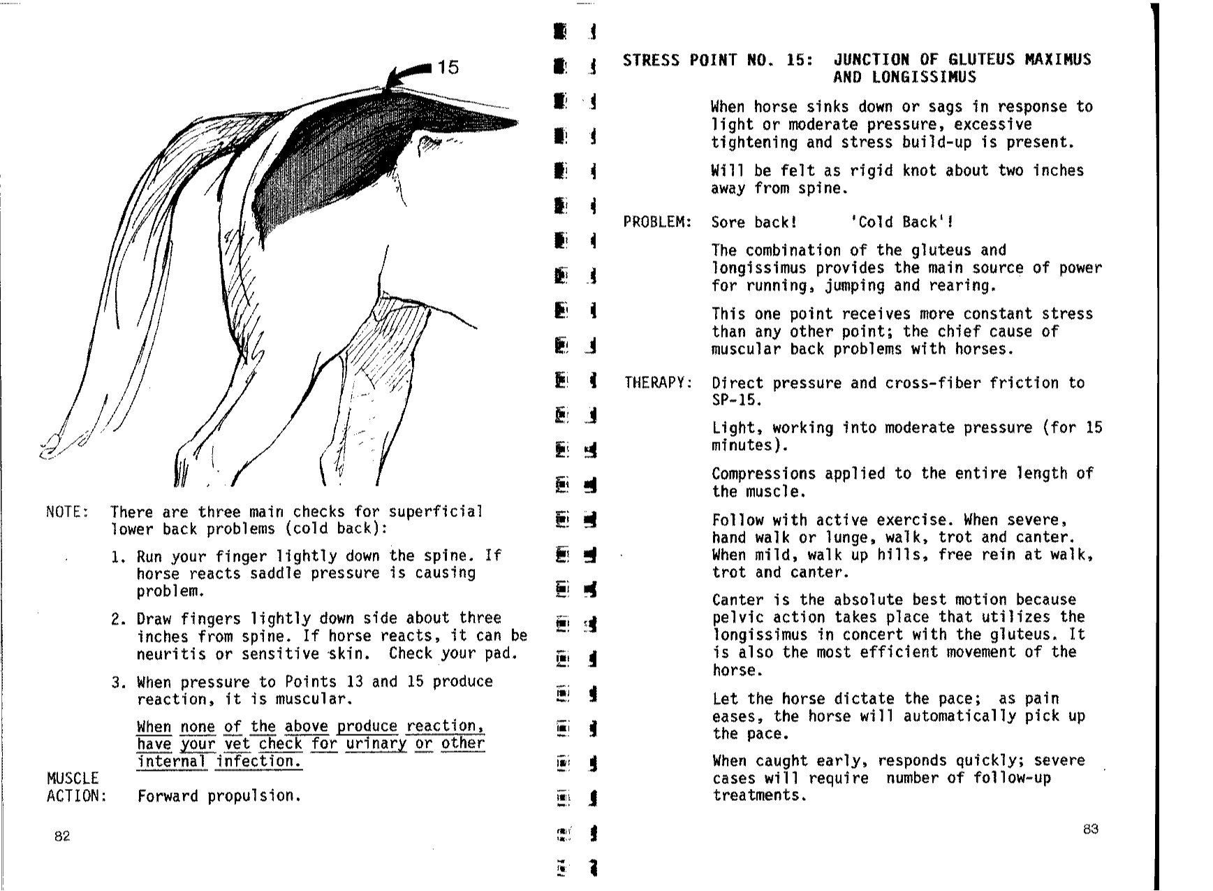 Beating Muscle Injuries For Horses Book