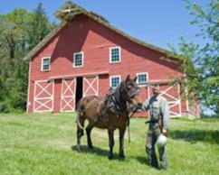 Barns and House | Living Quarters | For Sale