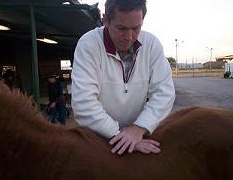 The Well Adjusted Horse Book. Equine Chiropractic Methods You Can Do