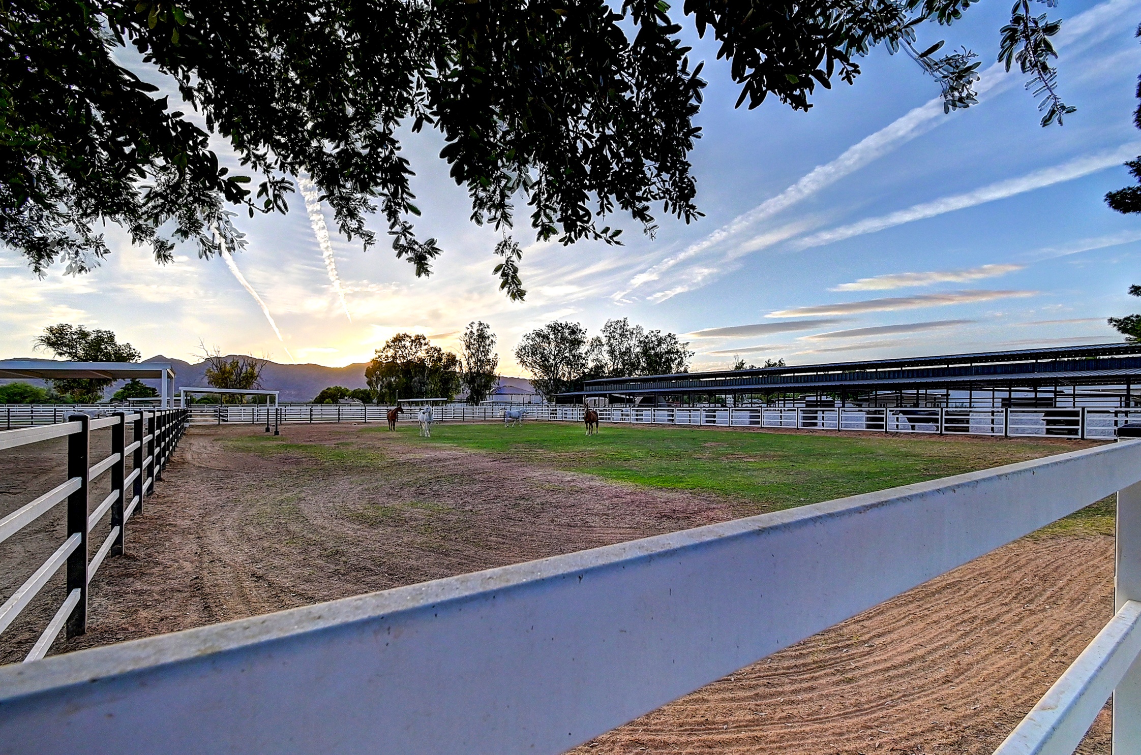 Stunning 6 Bdm Desert Ranch Equestrian Estate! | Living Quarters + Stables | For Rent or Sublet