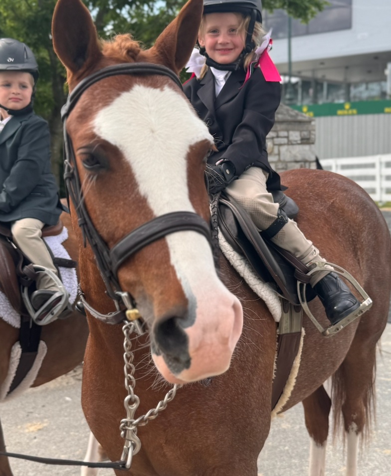 Royal Luxe | 2020 | 13.2h | Welsh Pony | Gelding