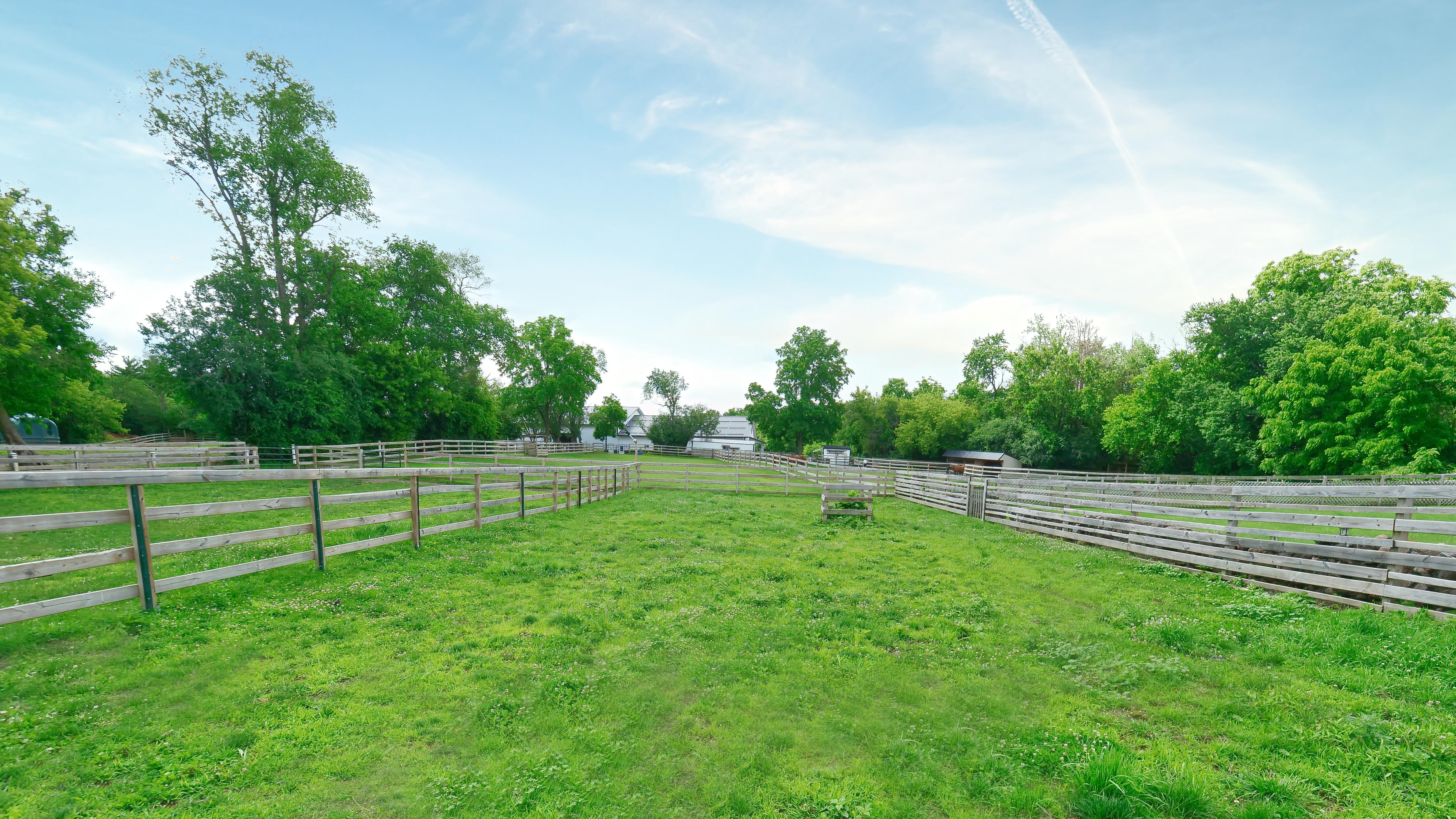 LUXURY EQUESTRIAN ESTATE---owner financing available! | Living Quarters + Stables | For Sale