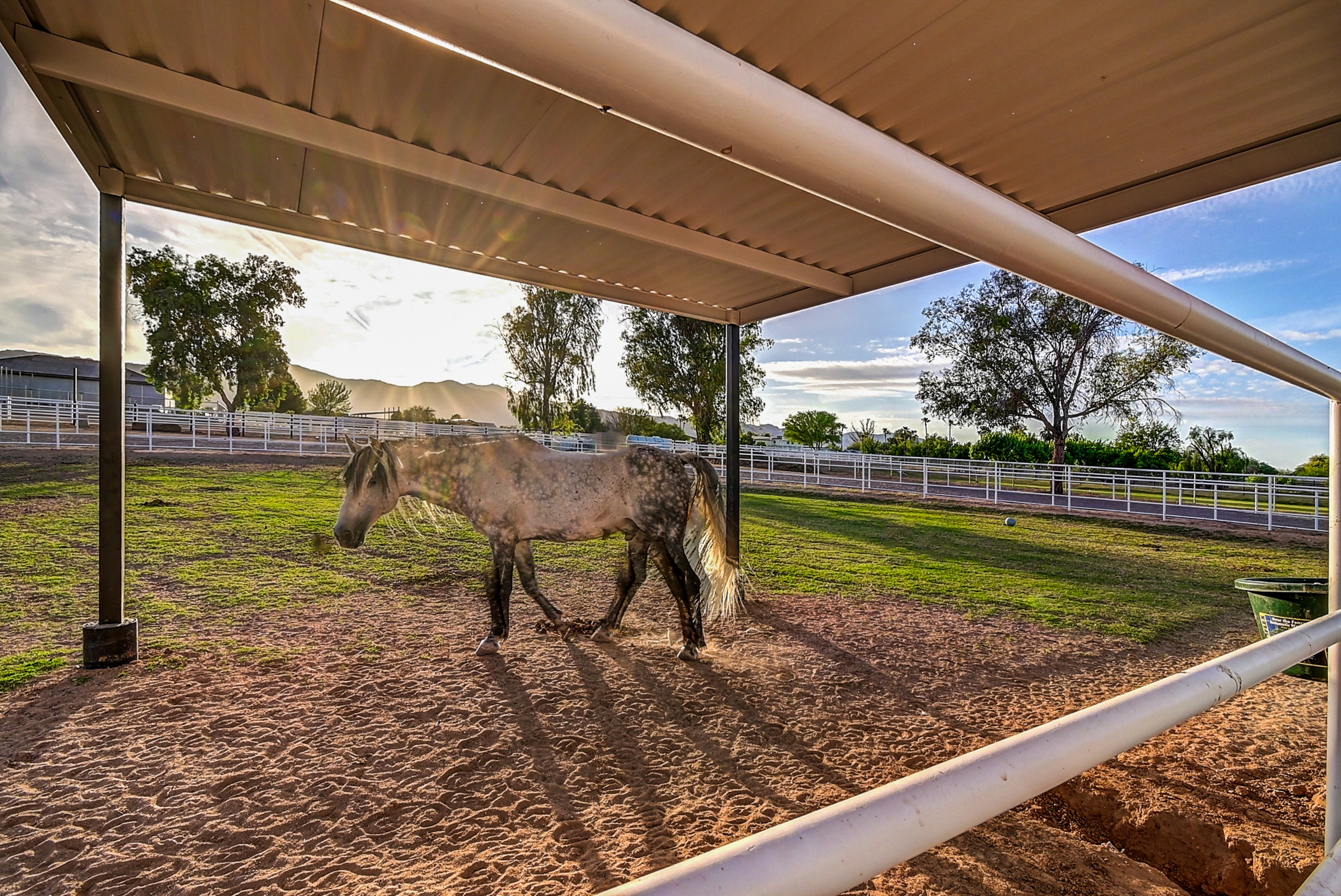 Stunning 6 Bdm Desert Ranch Equestrian Estate! | Living Quarters + Stables | For Rent or Sublet
