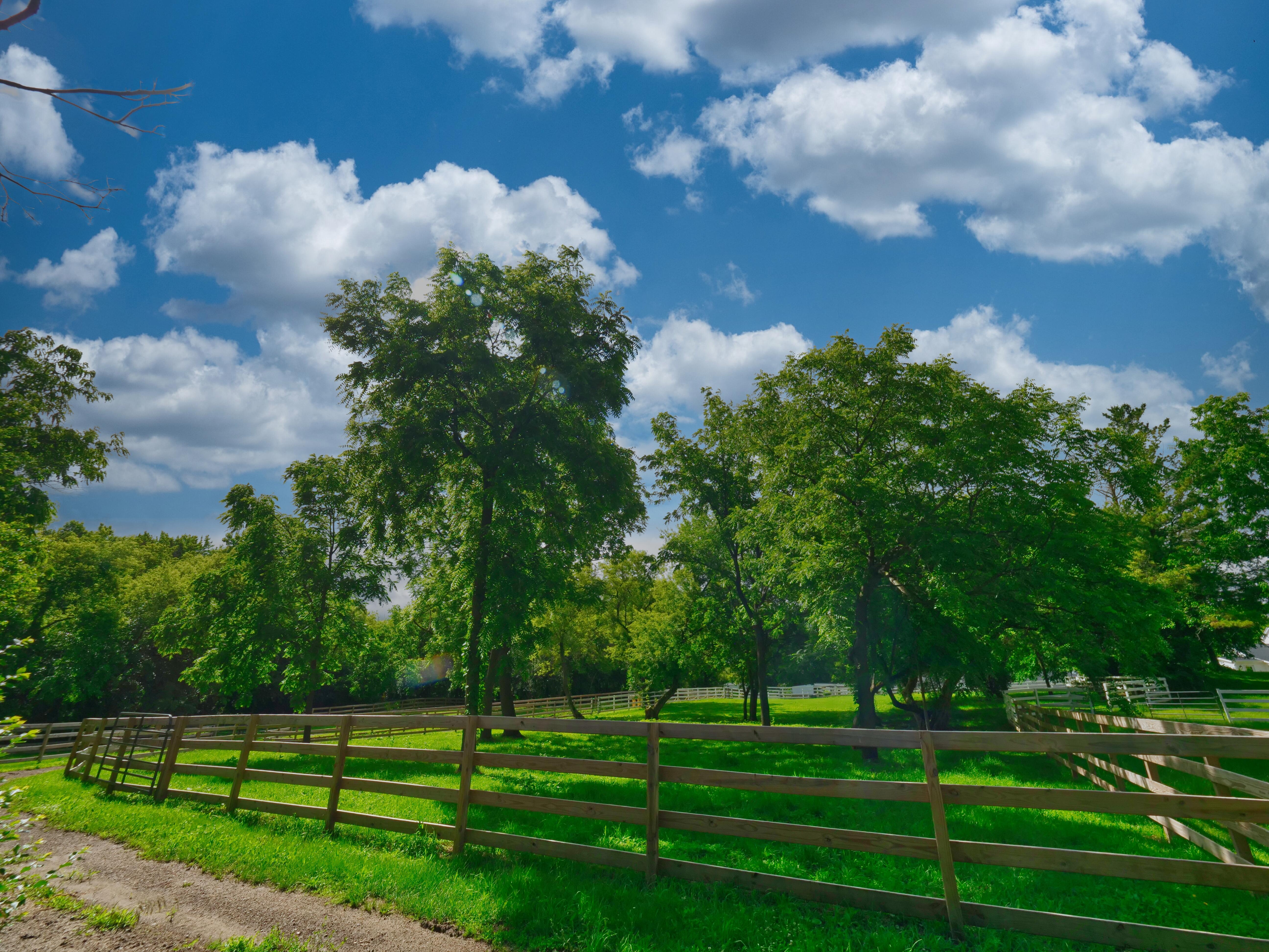 LUXURY EQUESTRIAN ESTATE---owner financing available! | Living Quarters + Stables | For Sale