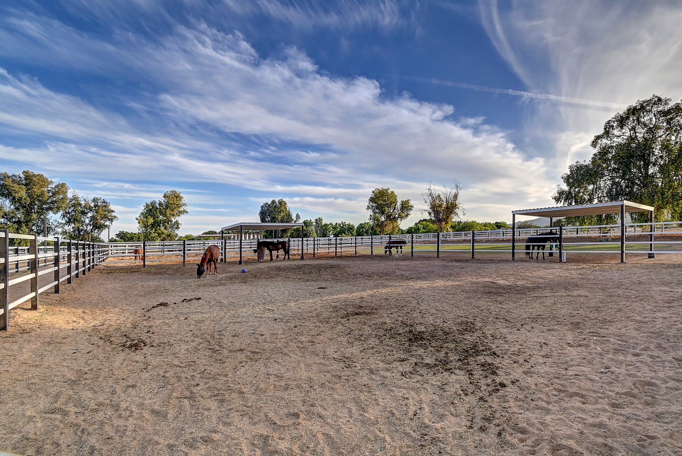 Stunning 6 Bdm Desert Ranch Equestrian Estate! | Living Quarters + Stables | For Rent or Sublet