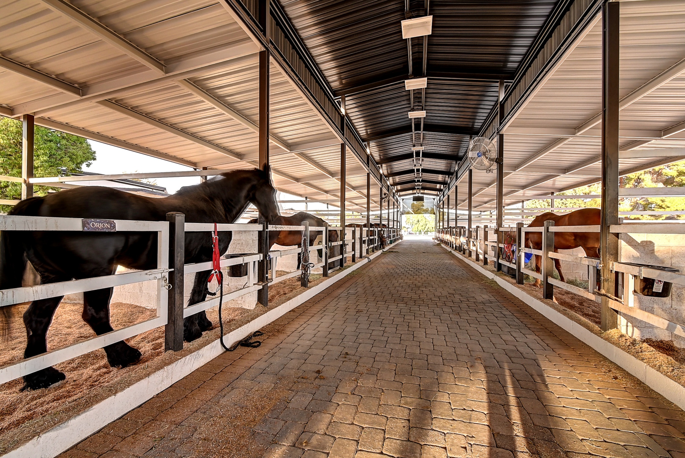 Stunning 6 Bdm Desert Ranch Equestrian Estate! | Living Quarters + Stables | For Rent or Sublet