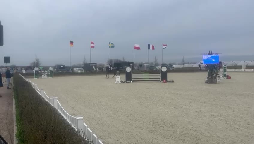 Kanyan | 2016 | 17h | Oldenburg | Gelding