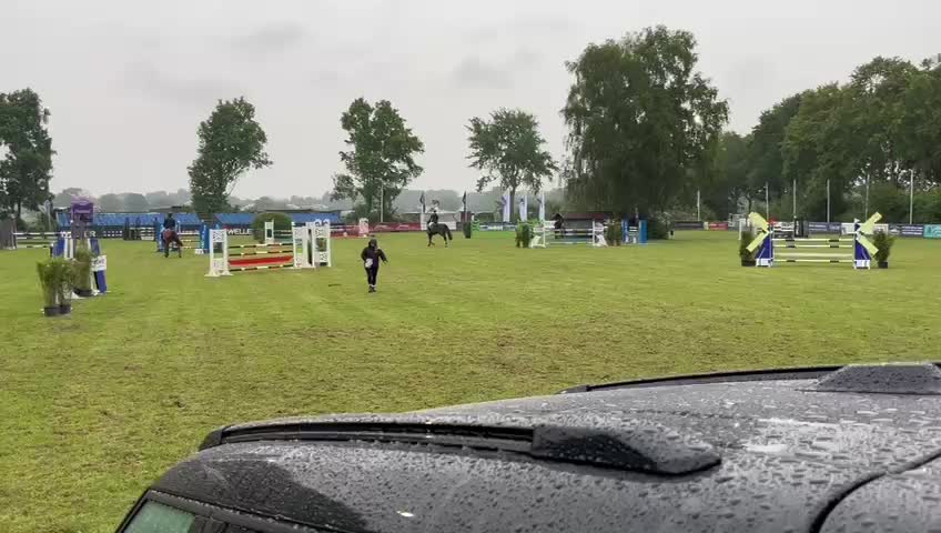 Kanyan | 2016 | 17h | Oldenburg | Gelding